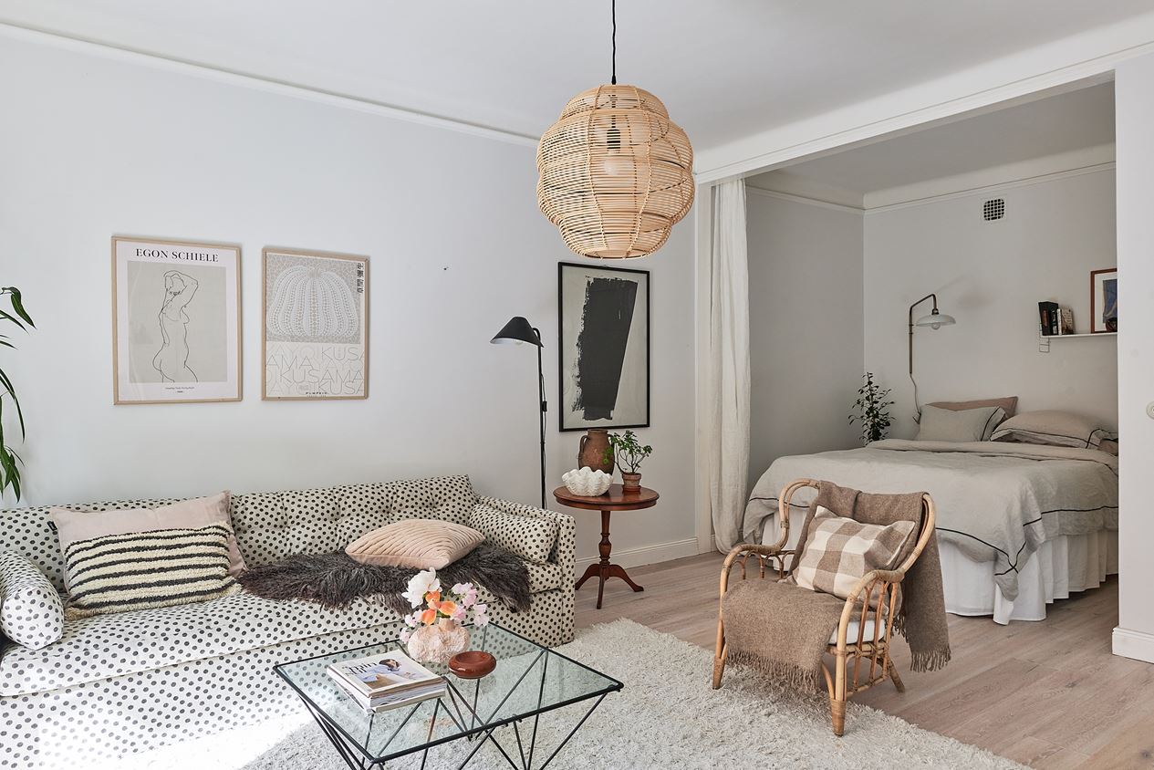 salon avec alcôve chambre