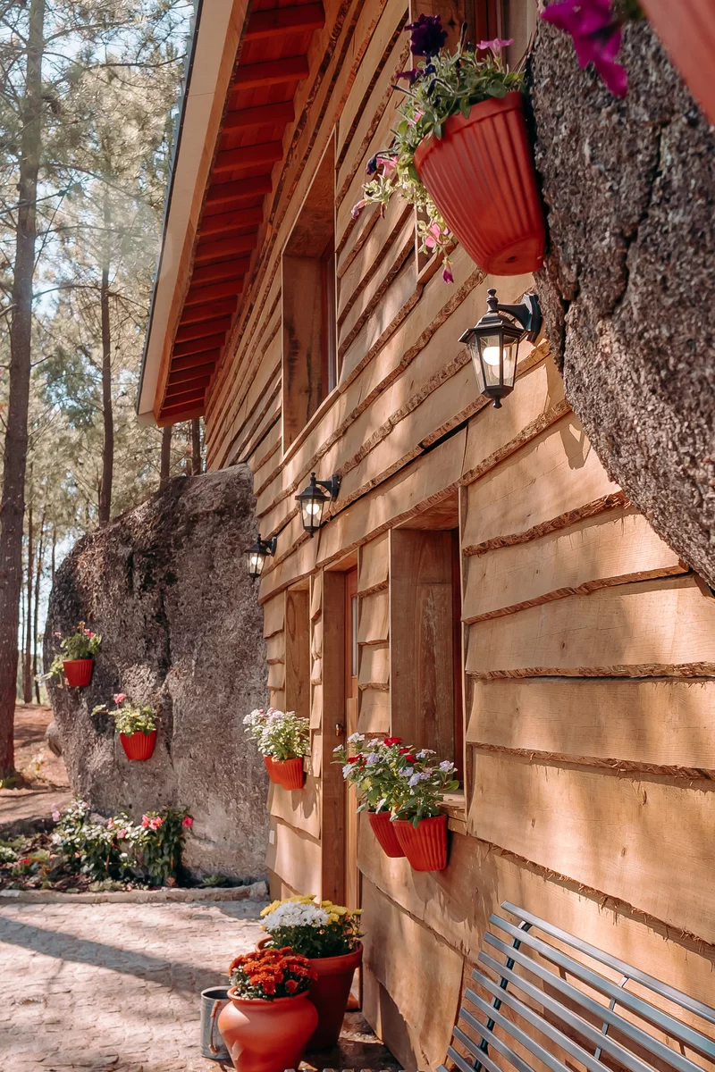 maison en bois maison en bois