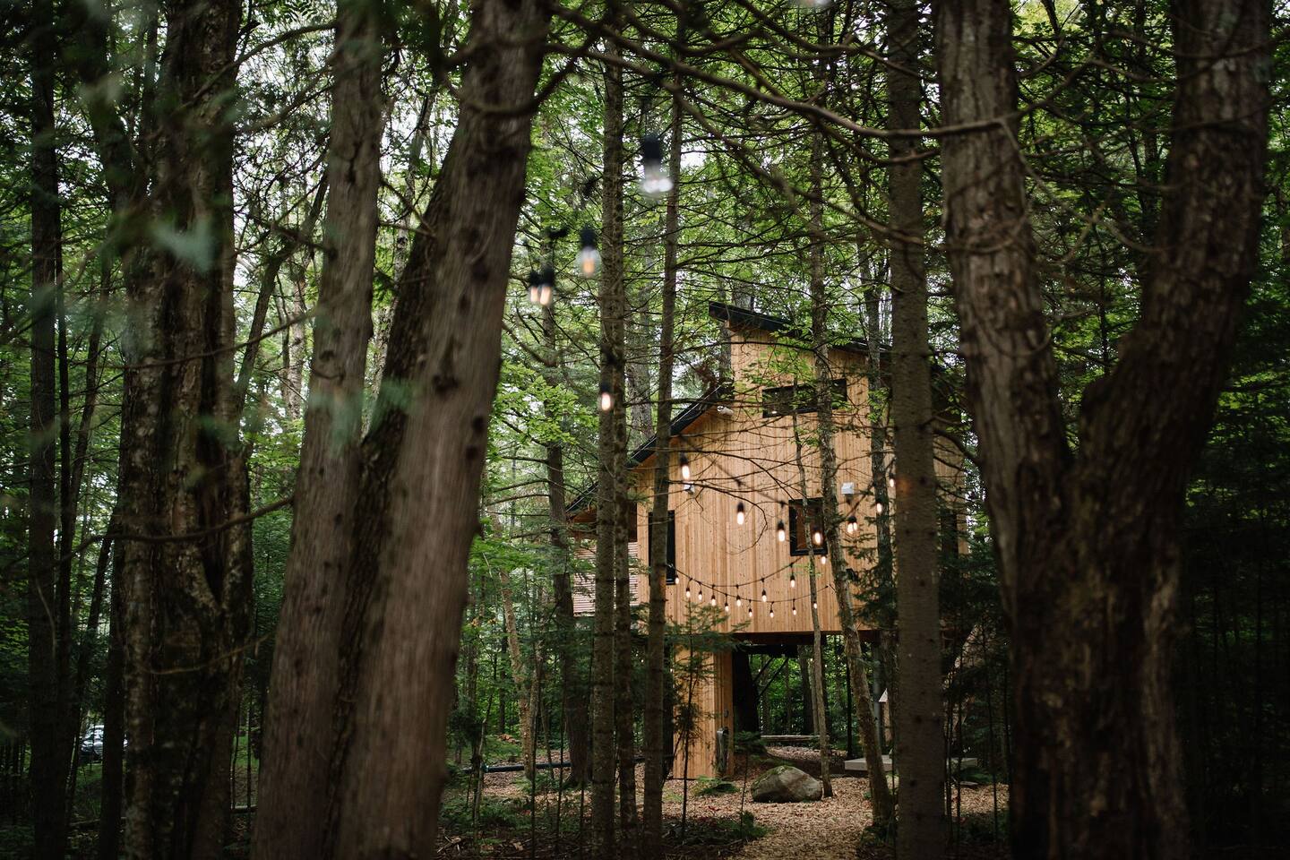 petite maison en bois petite maison en bois
