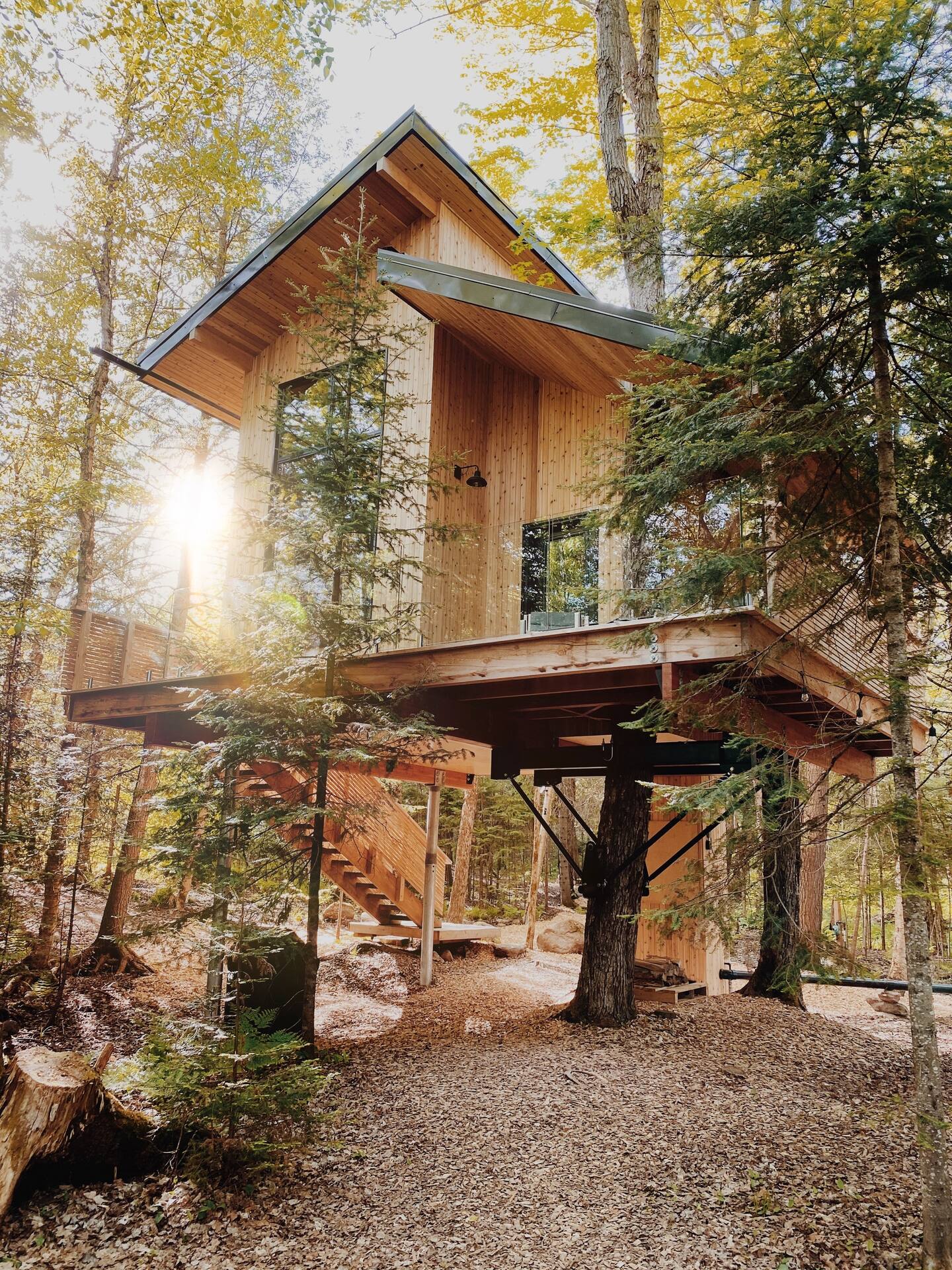 petite maison en bois petite maison en bois