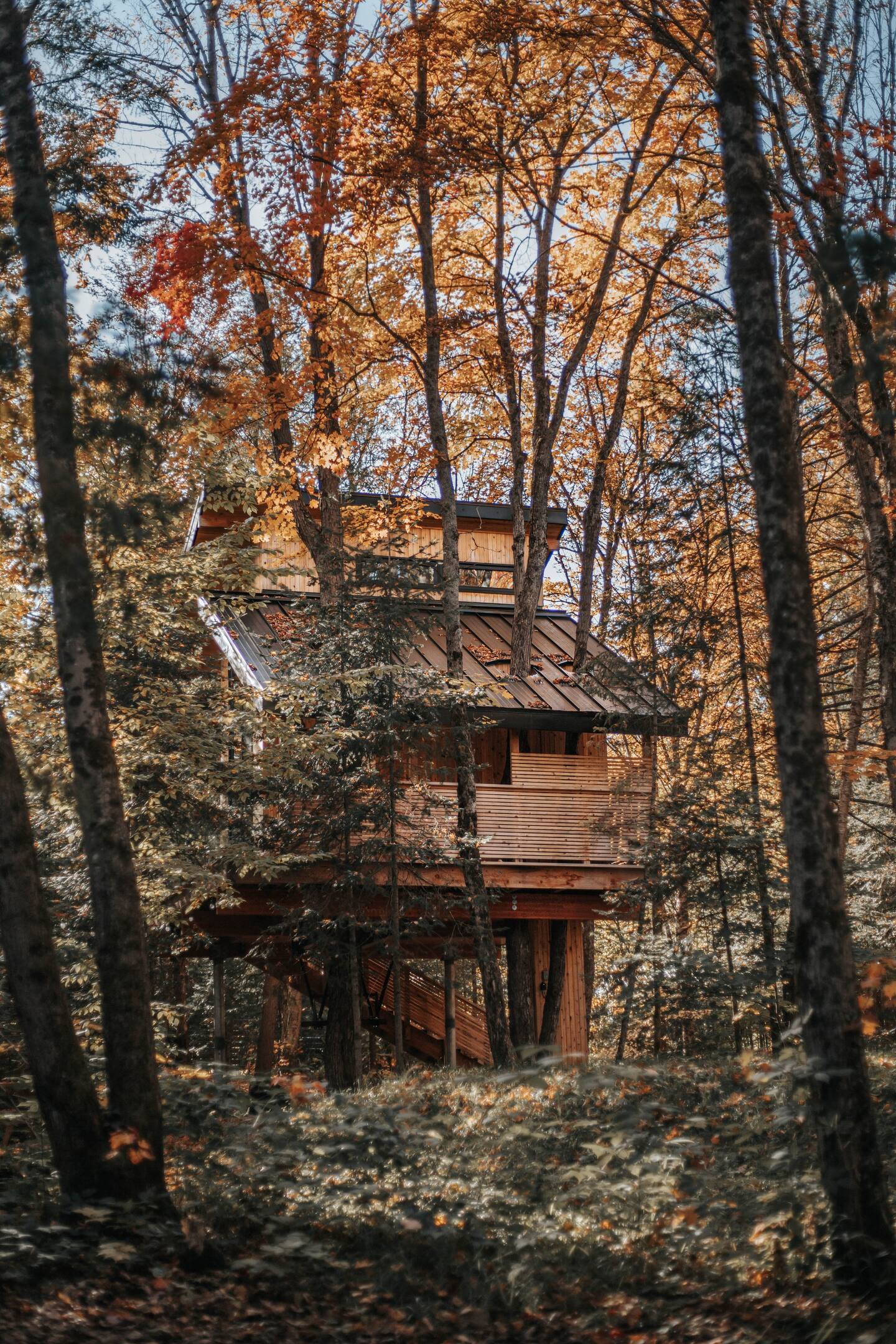 petite maison en bois petite maison en bois