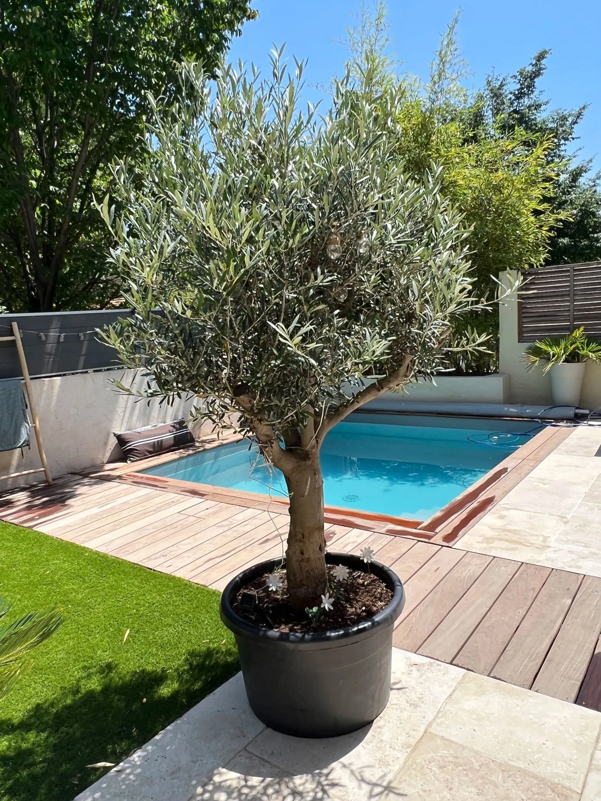petit jardin avec piscine petit jardin avec piscine