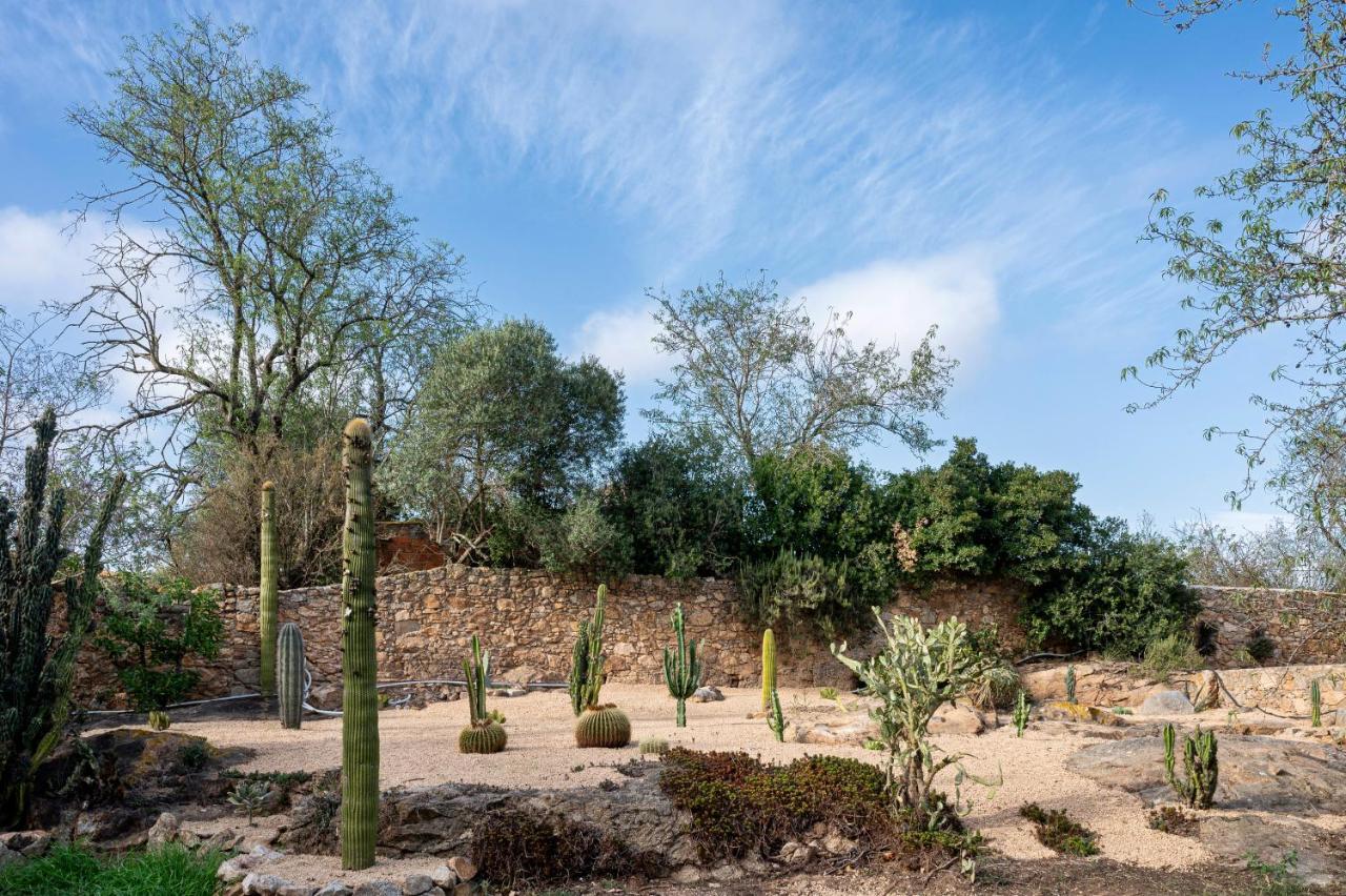 jardin sec maison en pierre Catalogne Mas del Suro