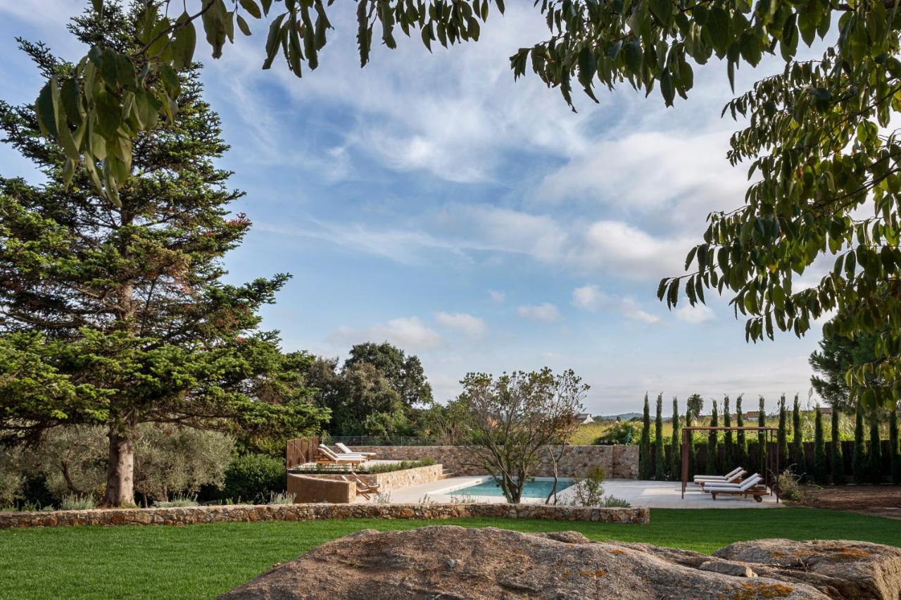 jardin avec piscine