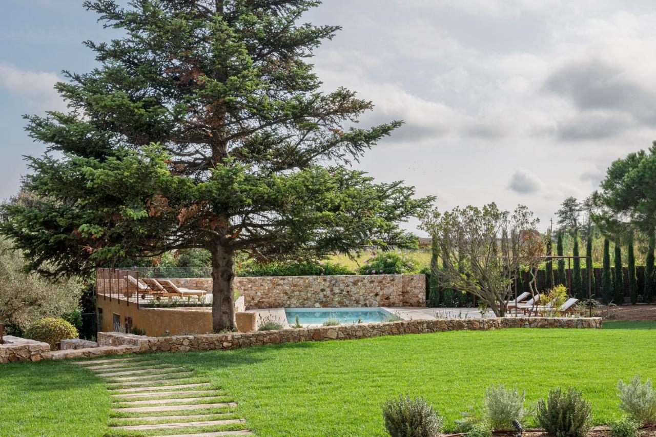 jardin avec piscine