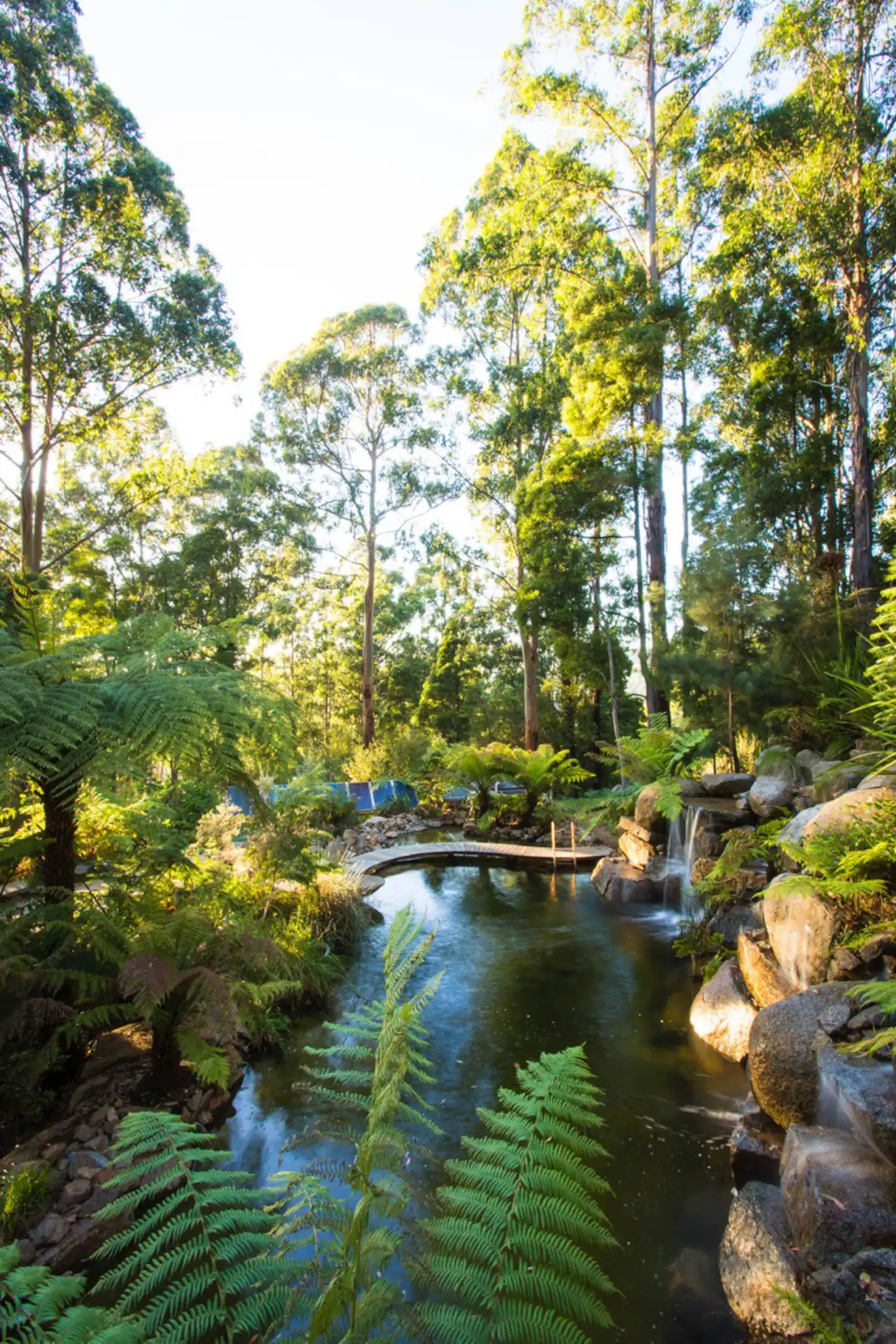 jardin avec piscine naturelle jardin avec piscine naturelle