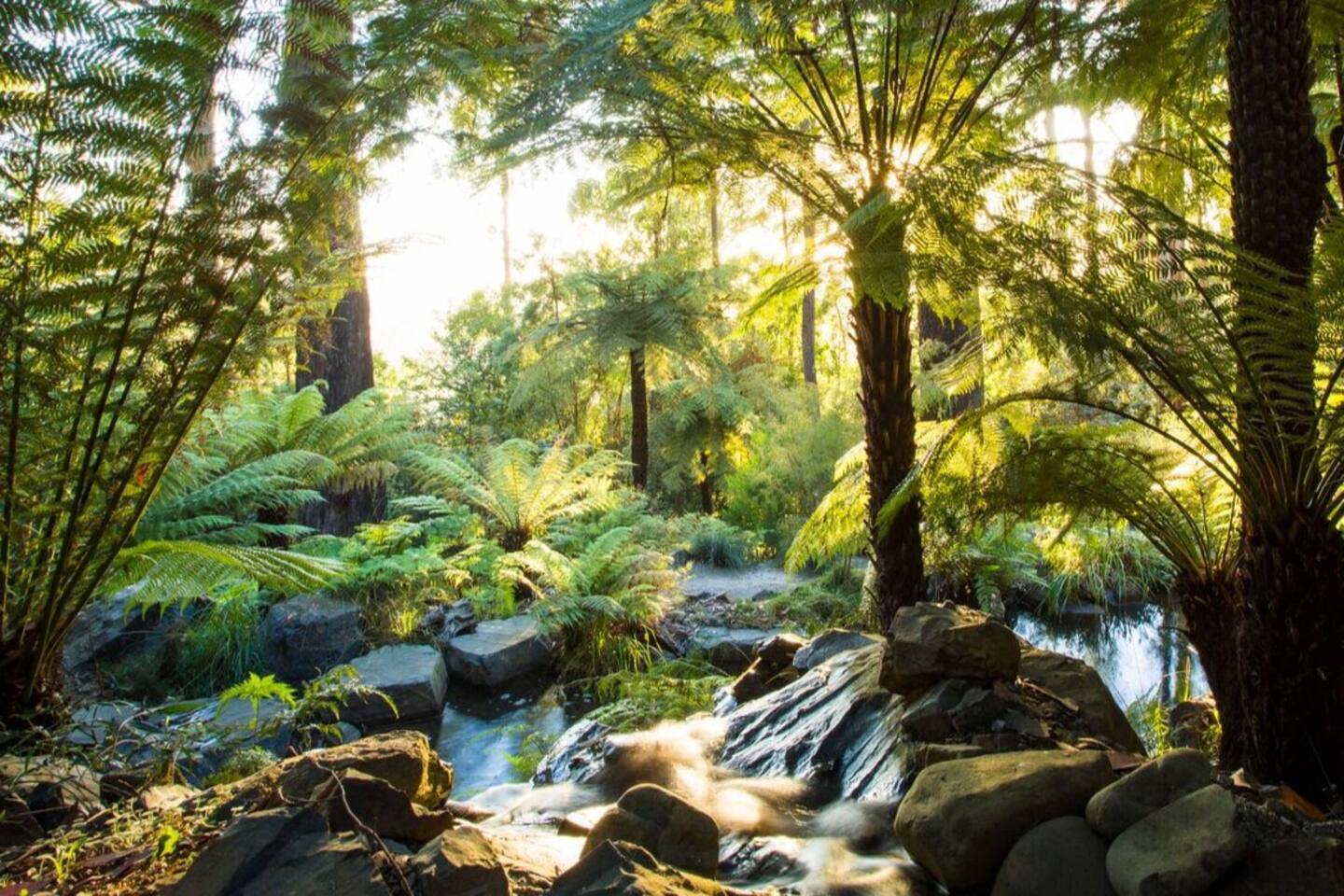 jardin avec piscine naturelle jardin avec piscine naturelle