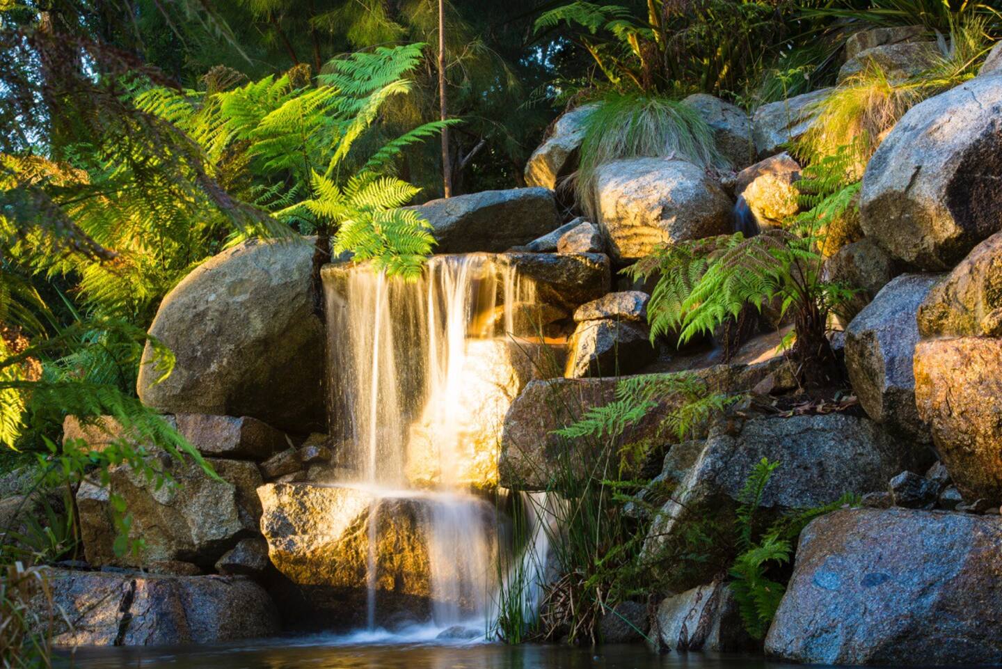 jardin avec piscine naturelle jardin avec piscine naturelle