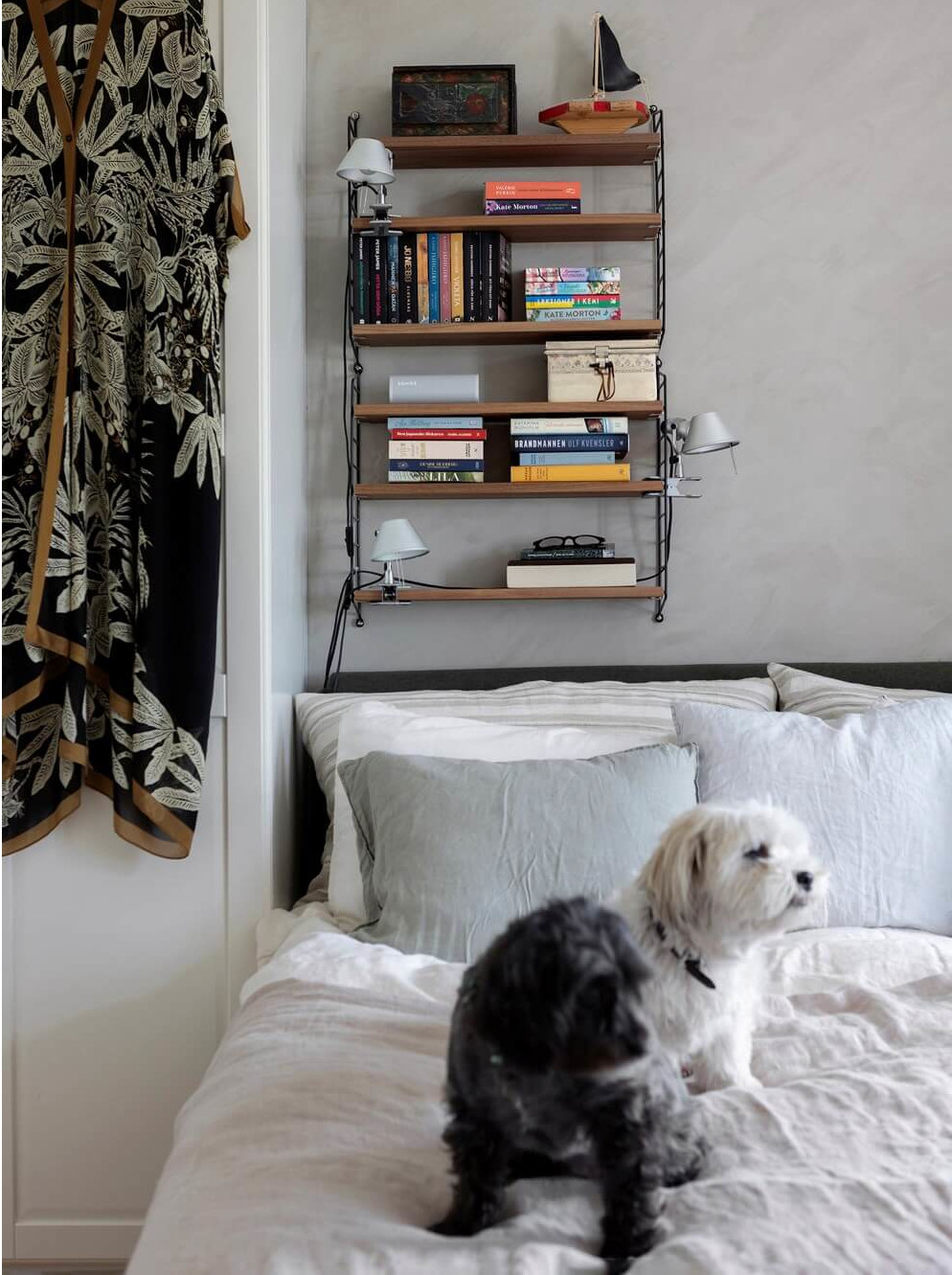 chambre avec chien sur le lit chambre avec chien sur le lit