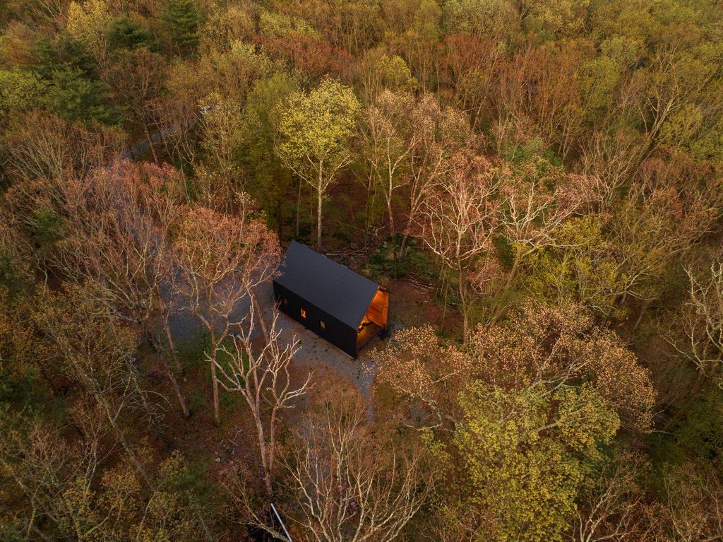 maison en bois