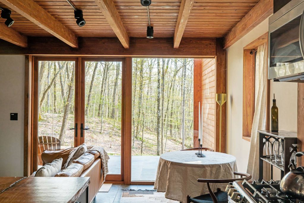 salon maison en bois