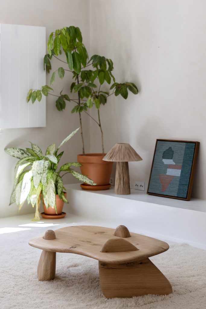 salon décoration minimaliste