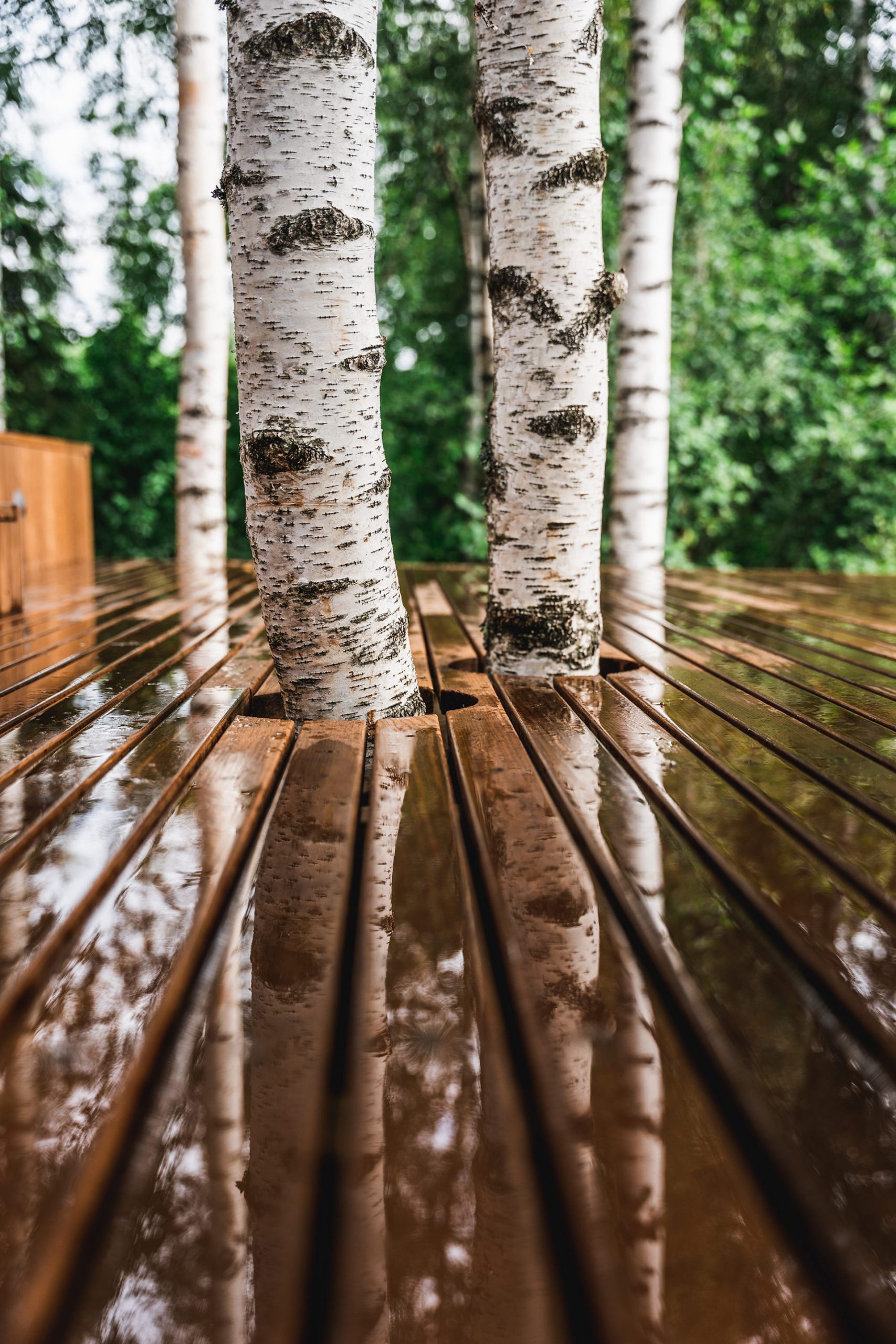 terrasse bois