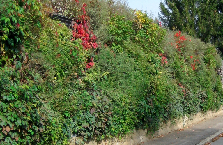 mur végétal anti-bruit Naturawall mur végétal anti-bruit Naturawall