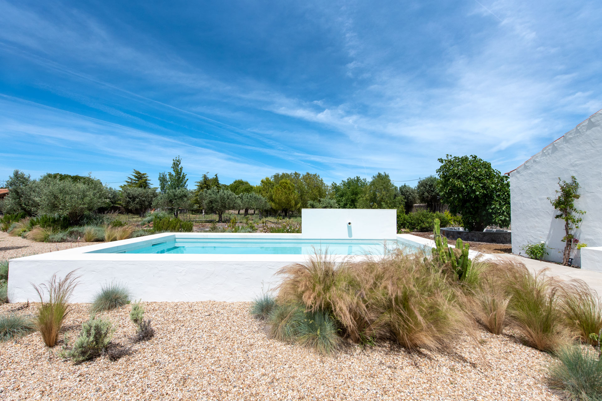 jardin sec avec piscine