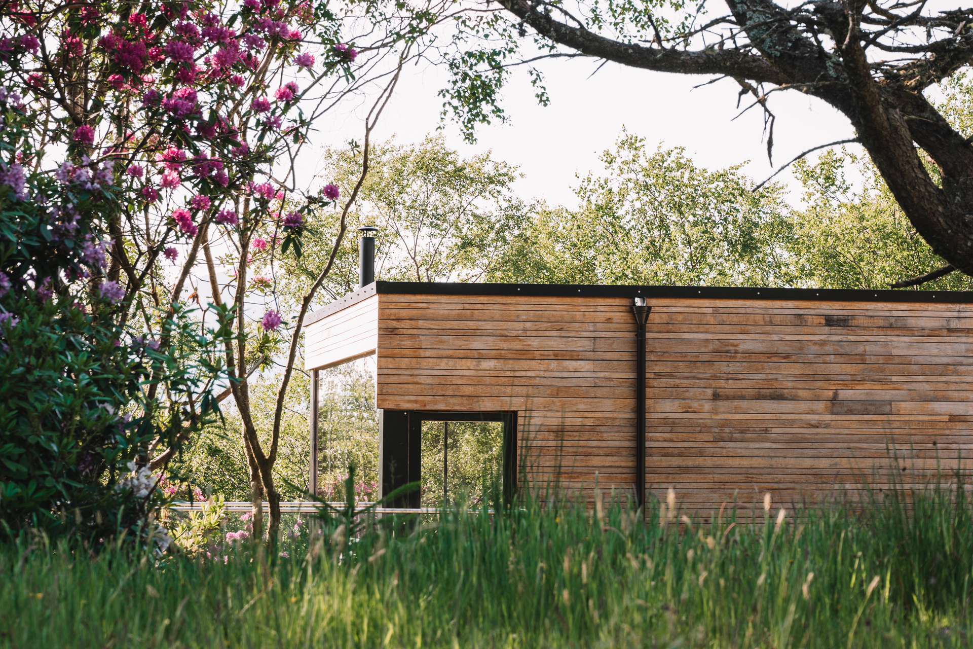 maison contemporaine en bois 