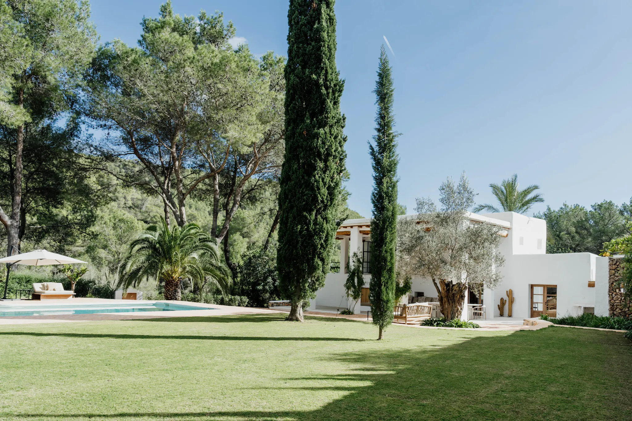 jardin avec cyprès et piscine