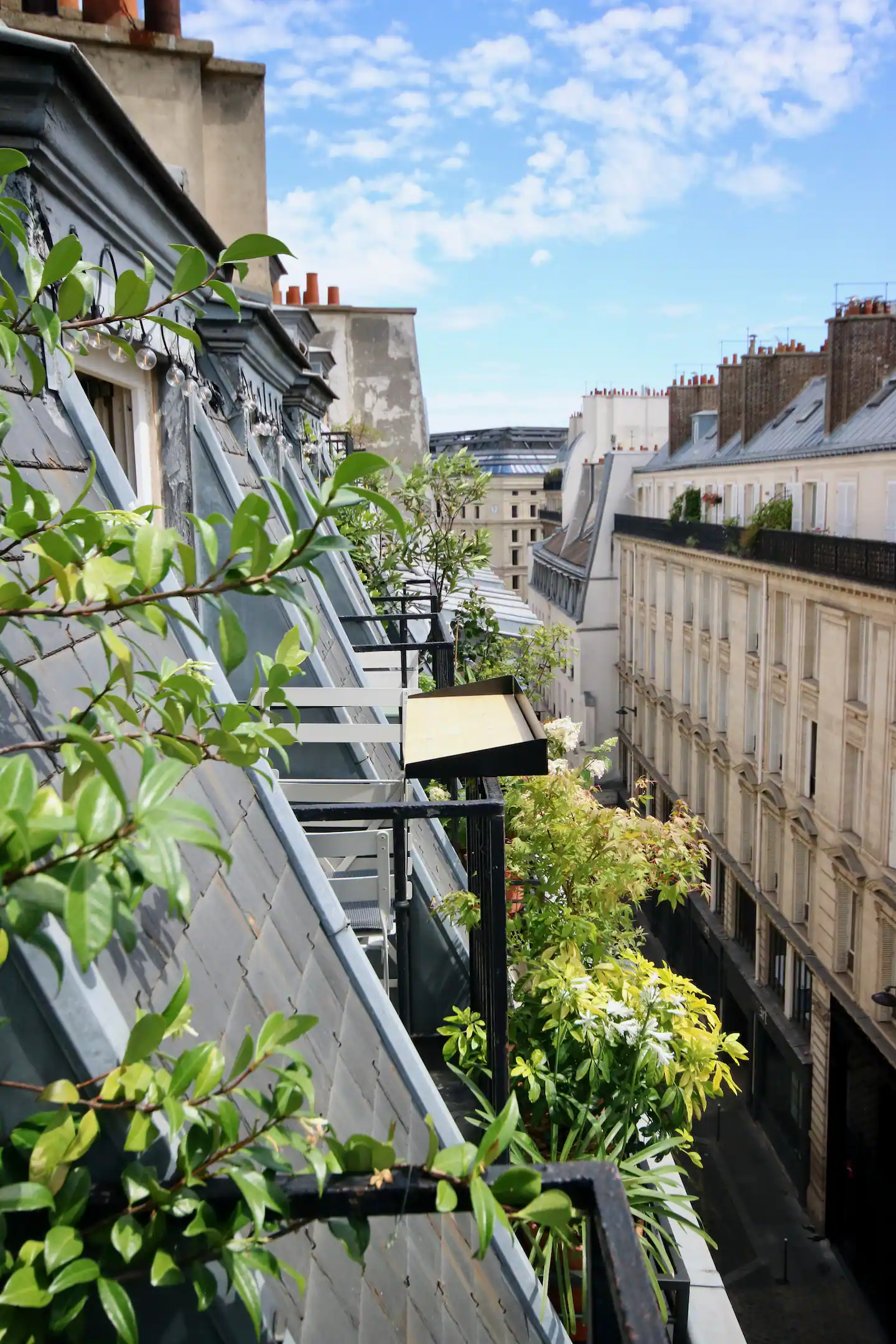 vue immeuble haussmannien Paris vue immeuble haussmannien Paris