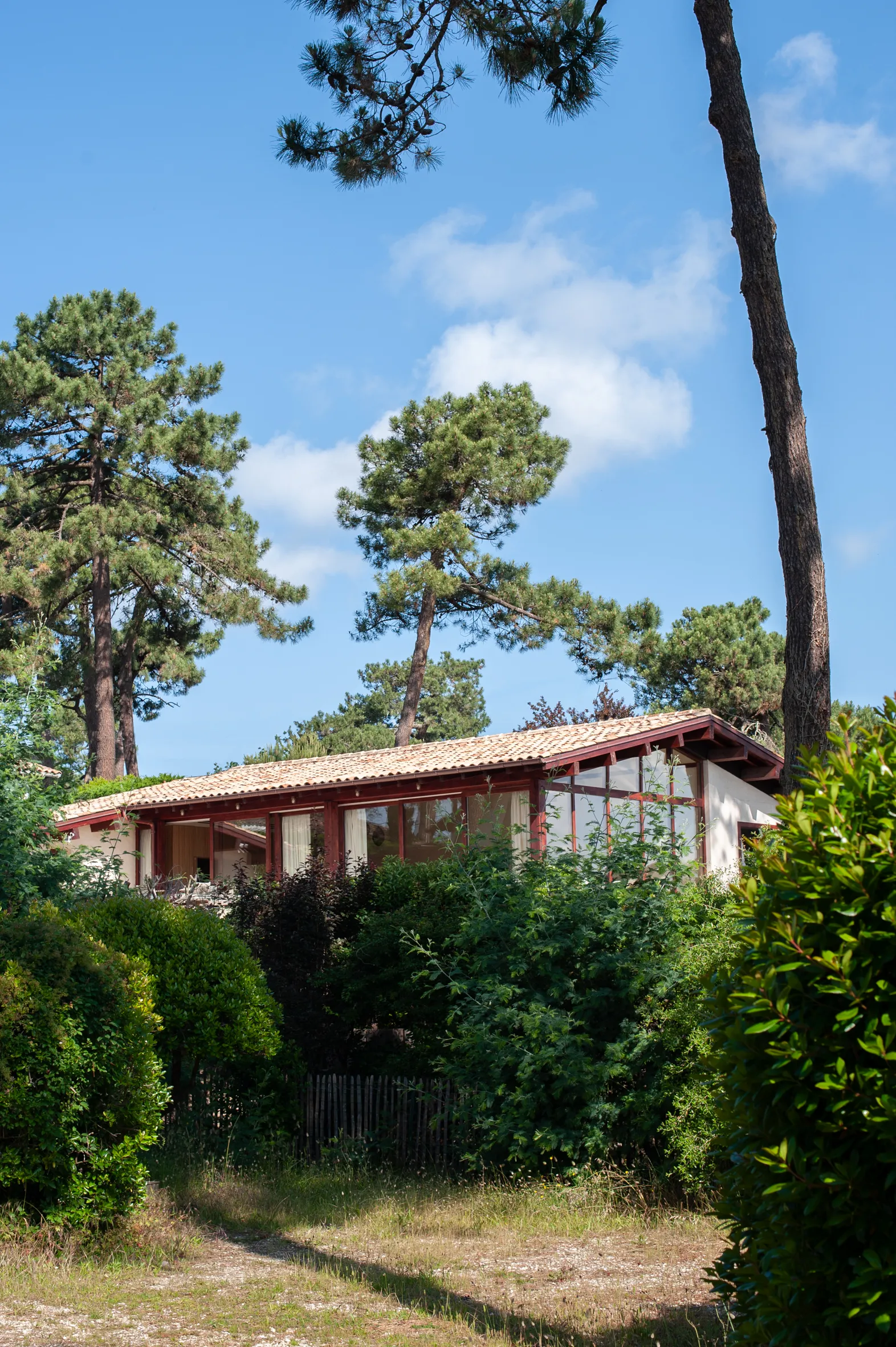 maison entourée de pins au Cap Ferret