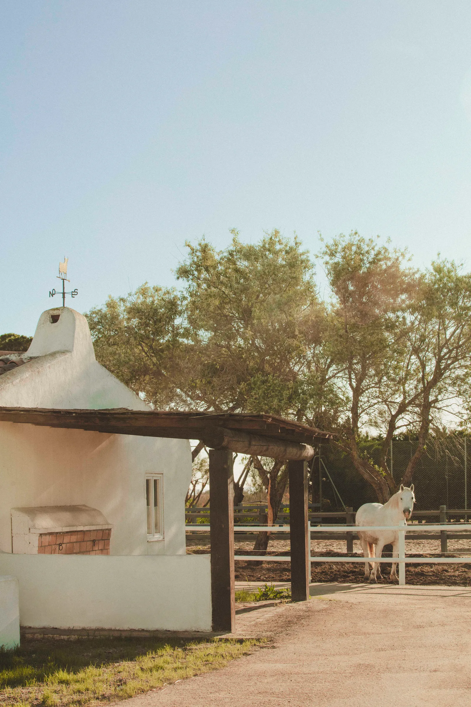 maison en Camargue