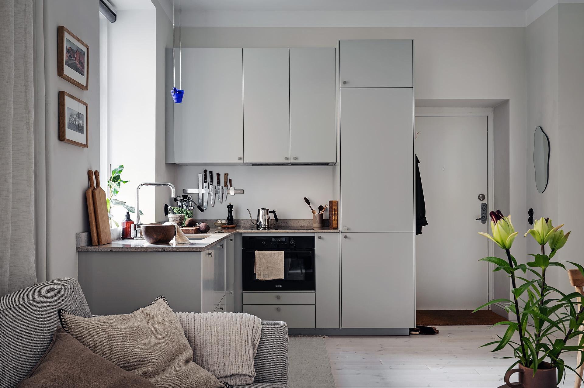 studio design de 28m2 avec cuisine IKEA grise studio design de 28m2 avec cuisine IKEA grise