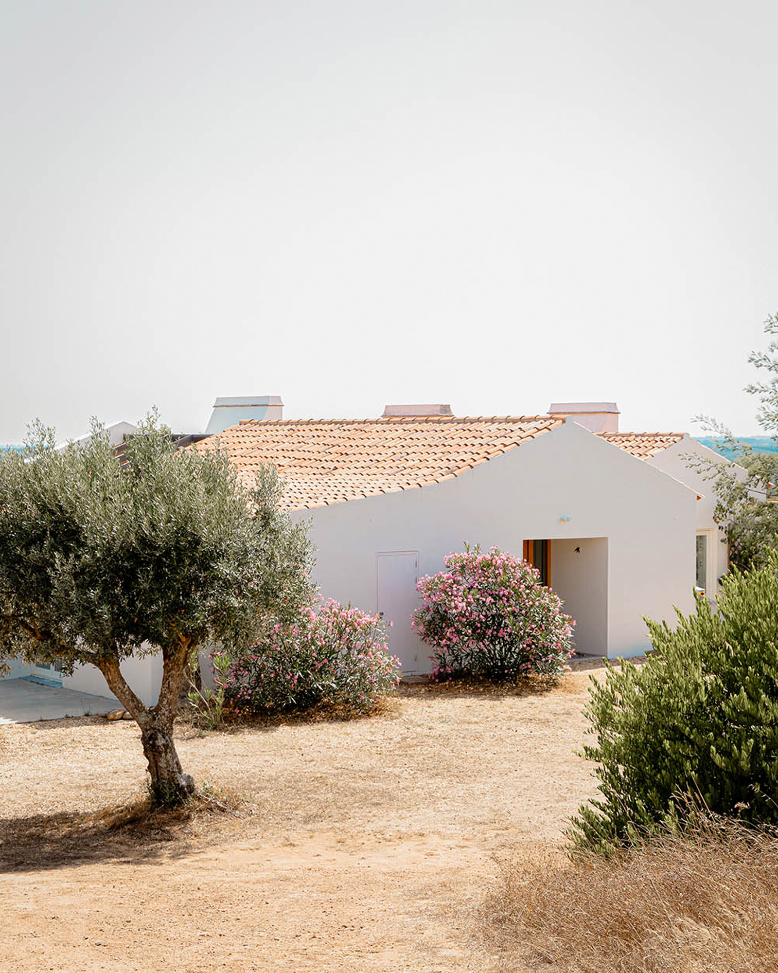maison ancienne et blanche Portugal Casa Acima maison ancienne et blanche Portugal Casa Acima