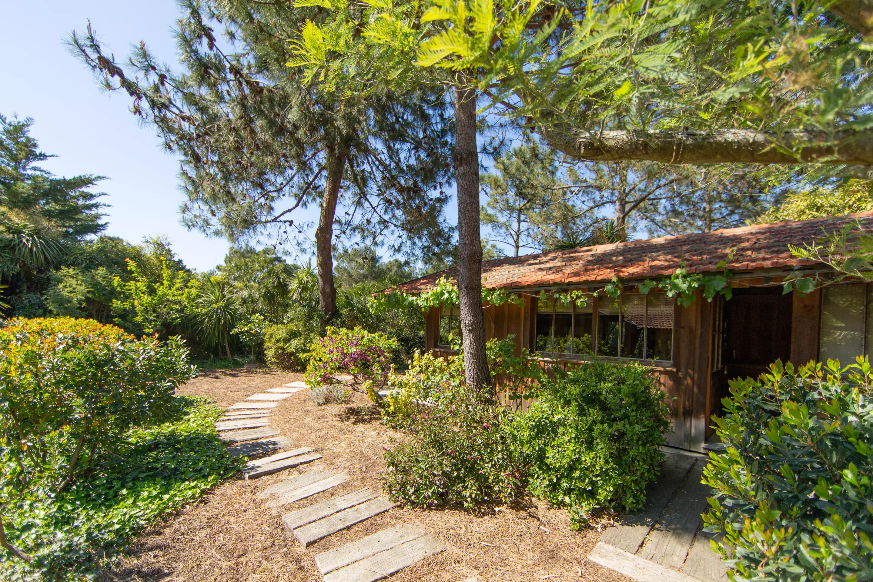 chambre maison en bois à louer Cap Ferret 