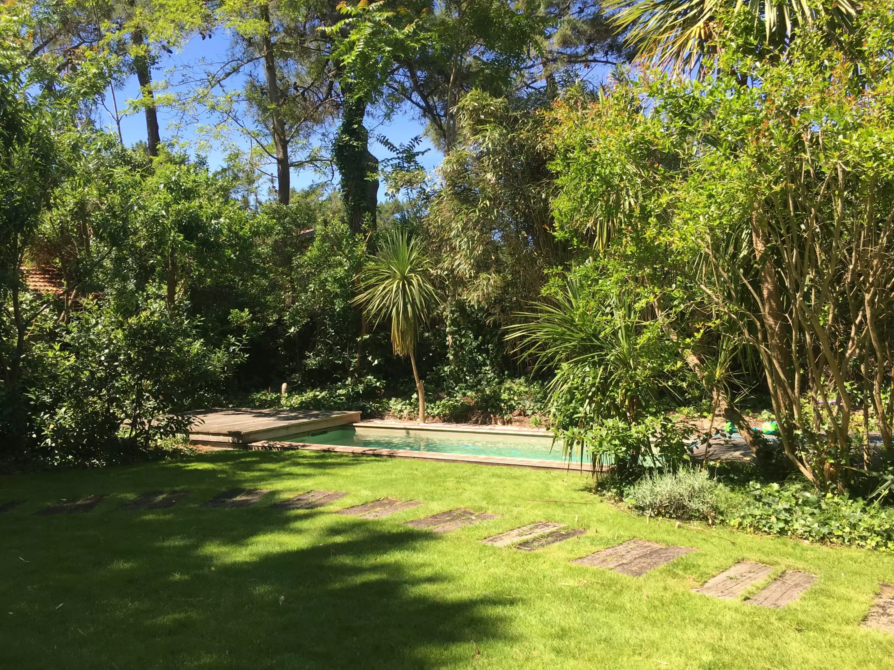 jardin avec piscine