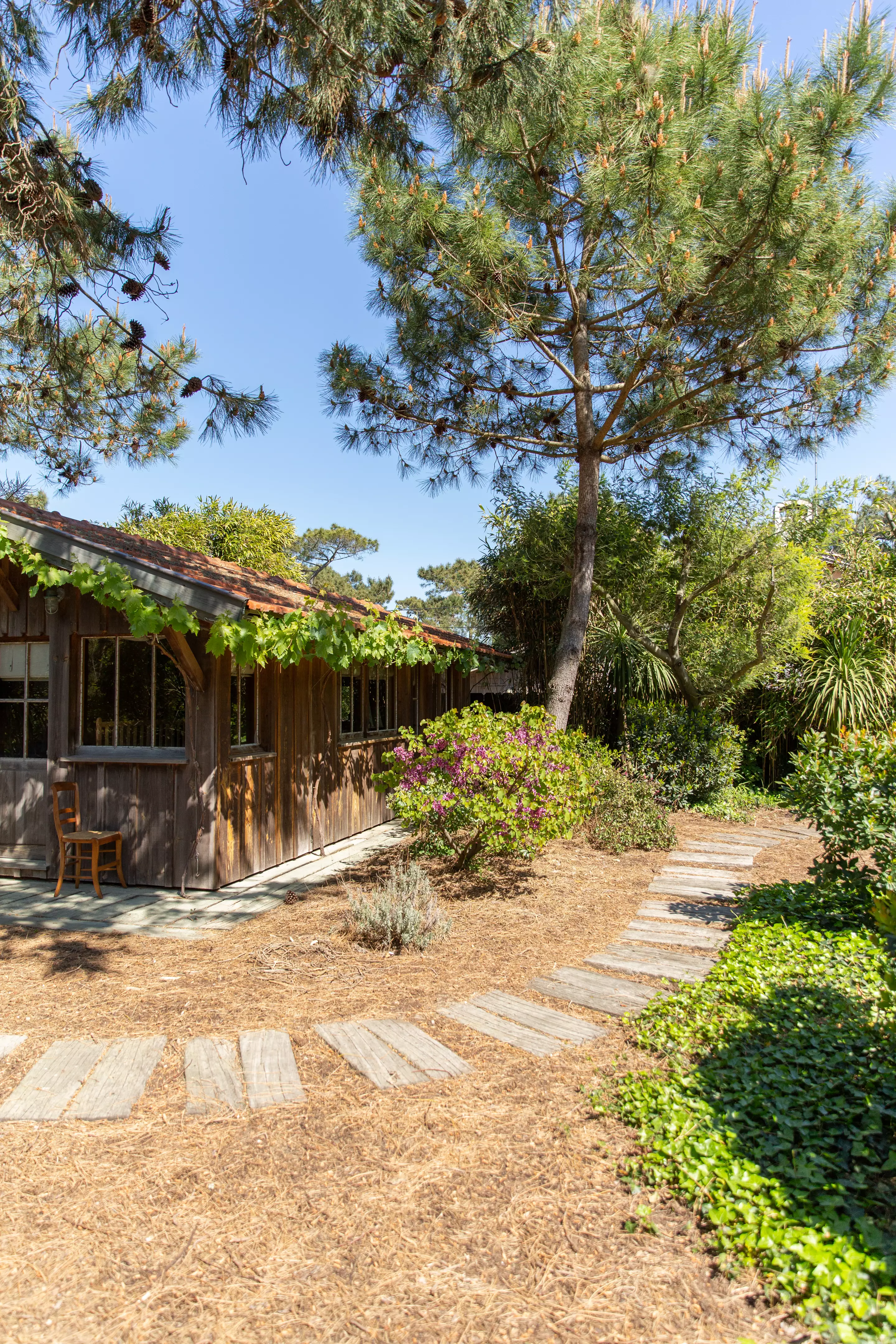 maison en bois à louer Cap Ferret 