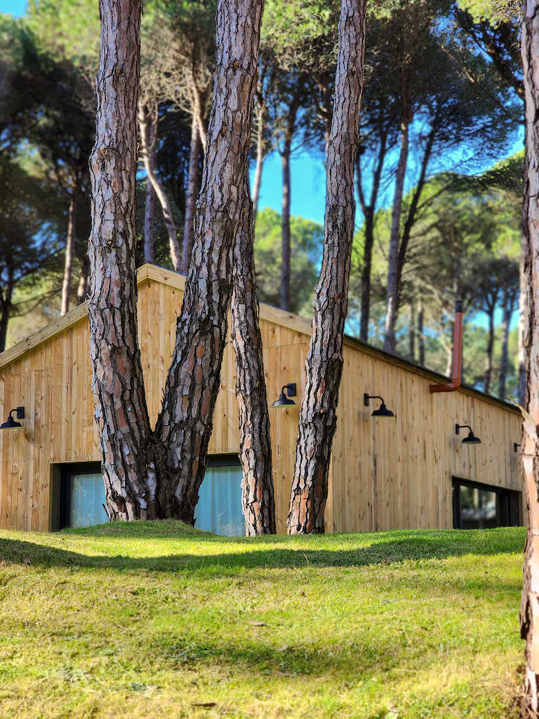 maison en bois maison en bois