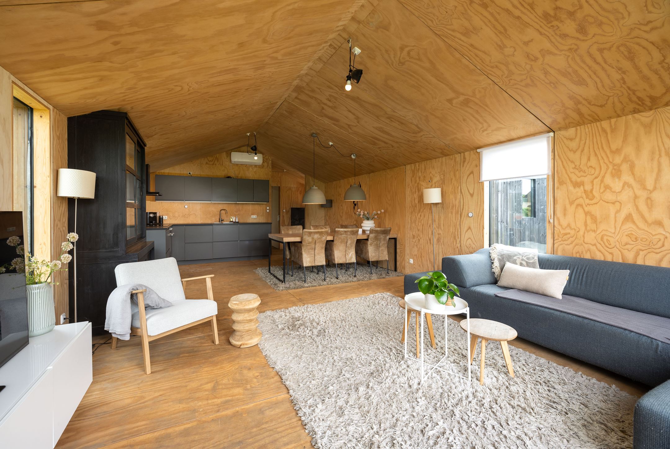 salon et cuisine ouverte maison en bois
