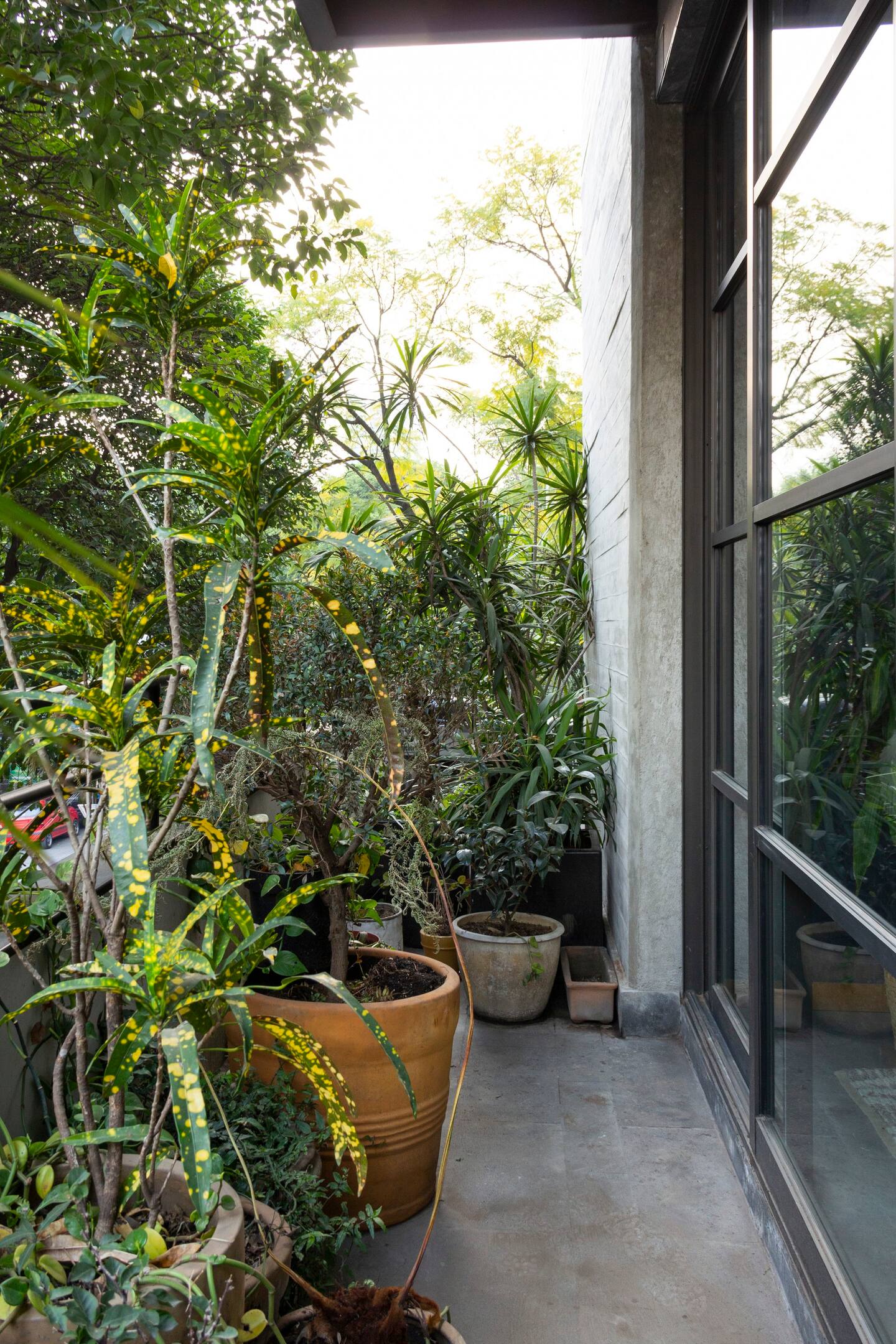 balcon filant avec plantes vertes appartement décoration contemporaine balcon filant avec plantes vertes appartement décoration contemporaine