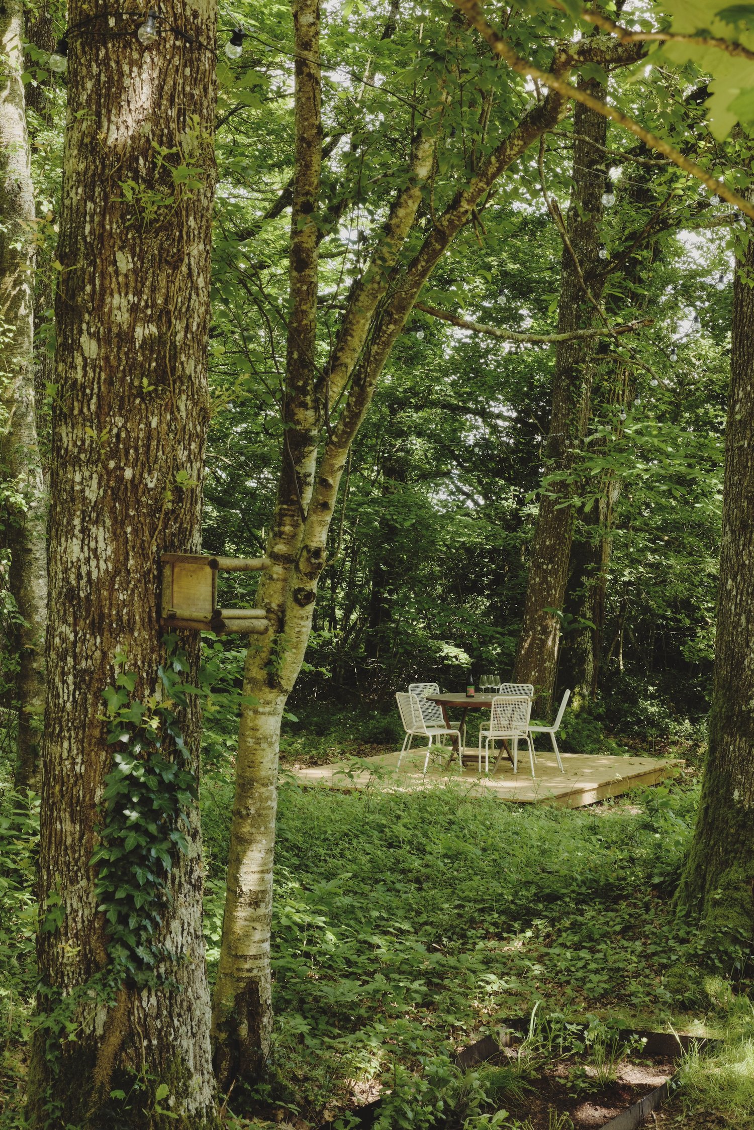 jardin Maison Sauvage photo Valentin Le Cron jardin Maison Sauvage photo Valentin Le Cron