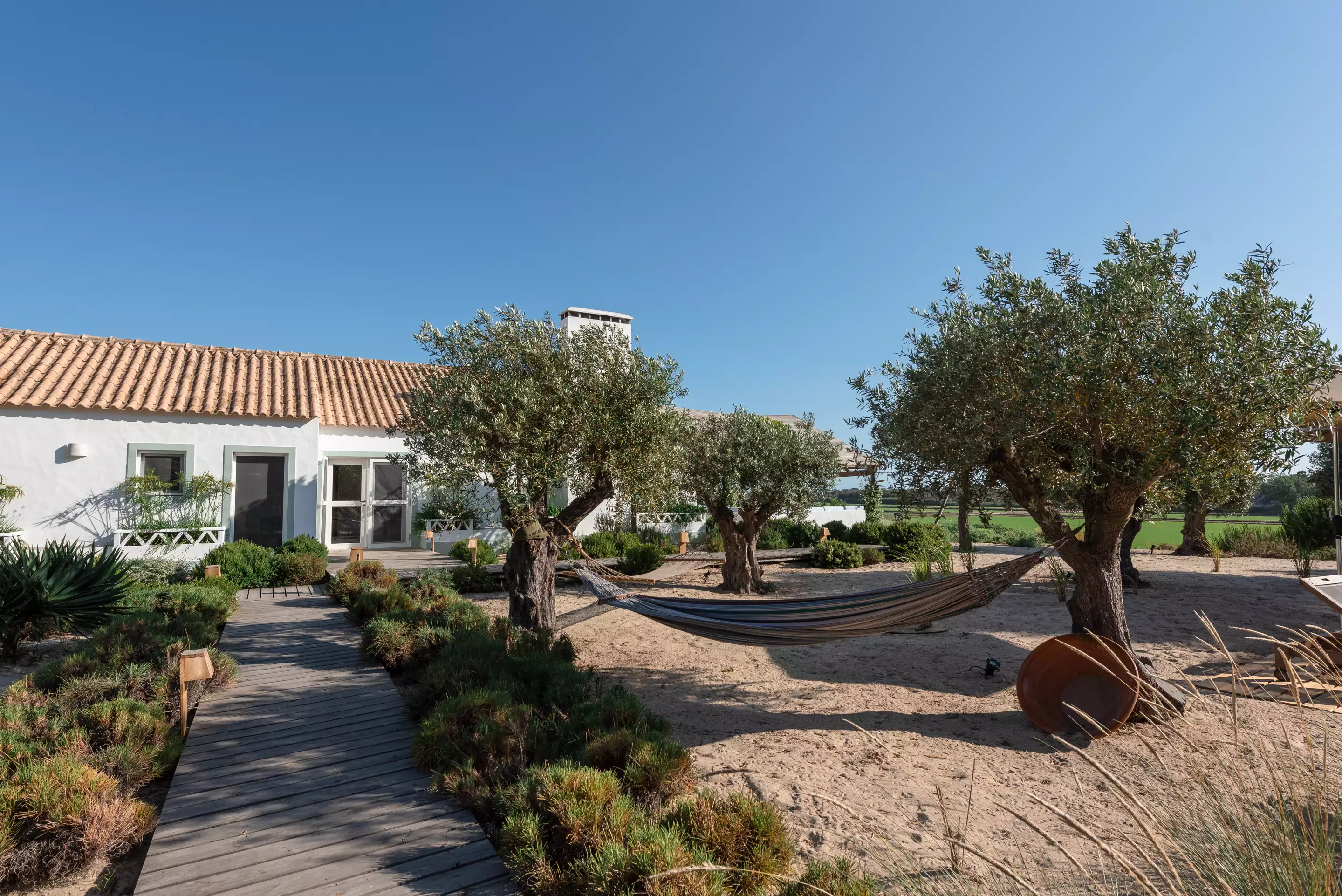maison Comporta avec oliviers