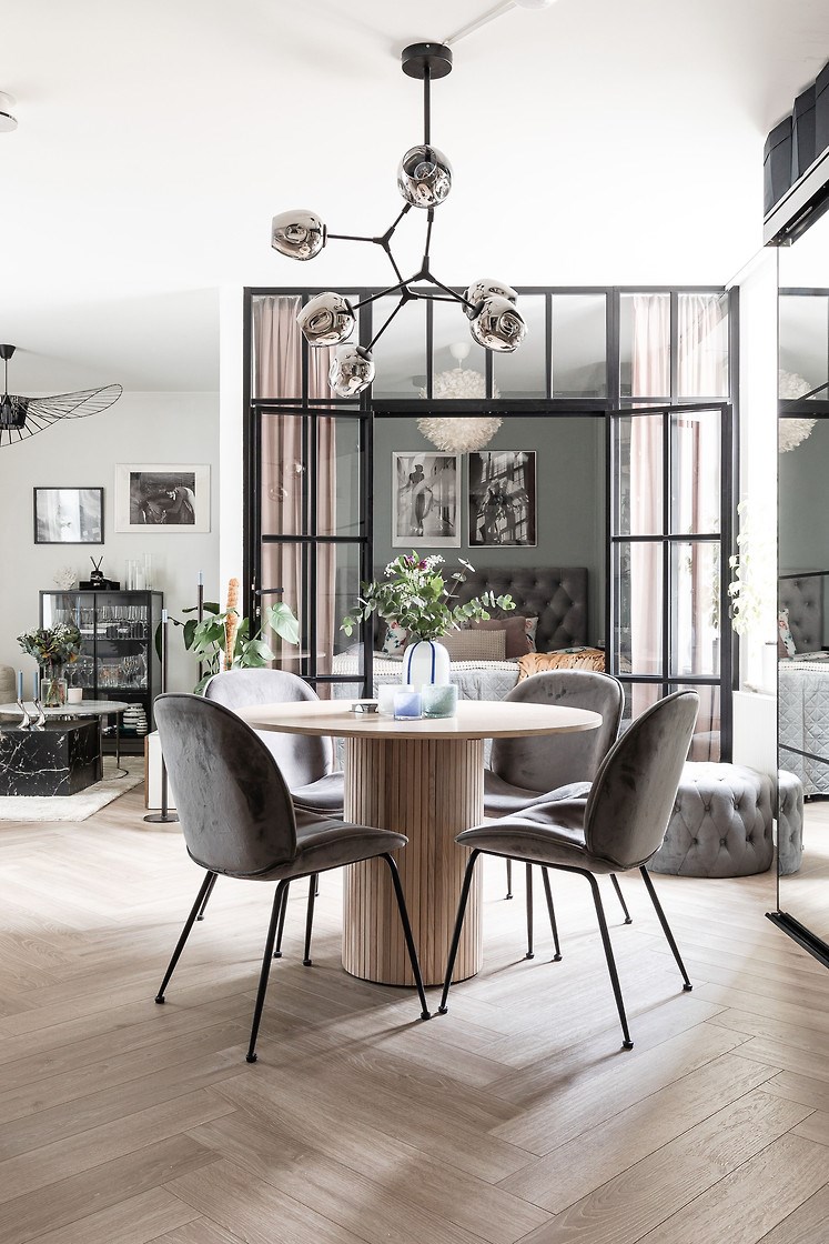 salon et chambre verrière appartement 50m2