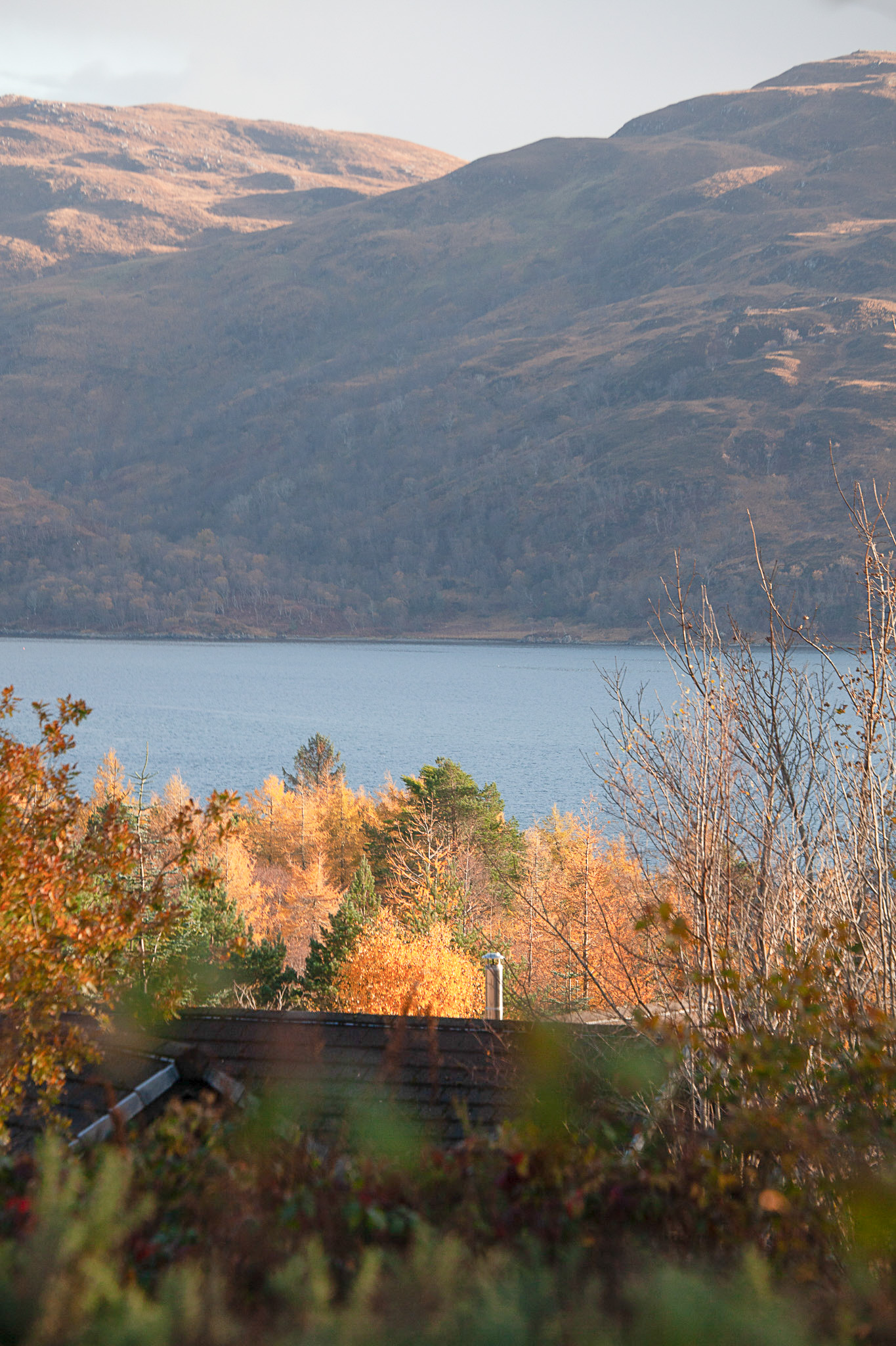maison en bois sur le loch Sunart maison en bois sur le loch Sunart