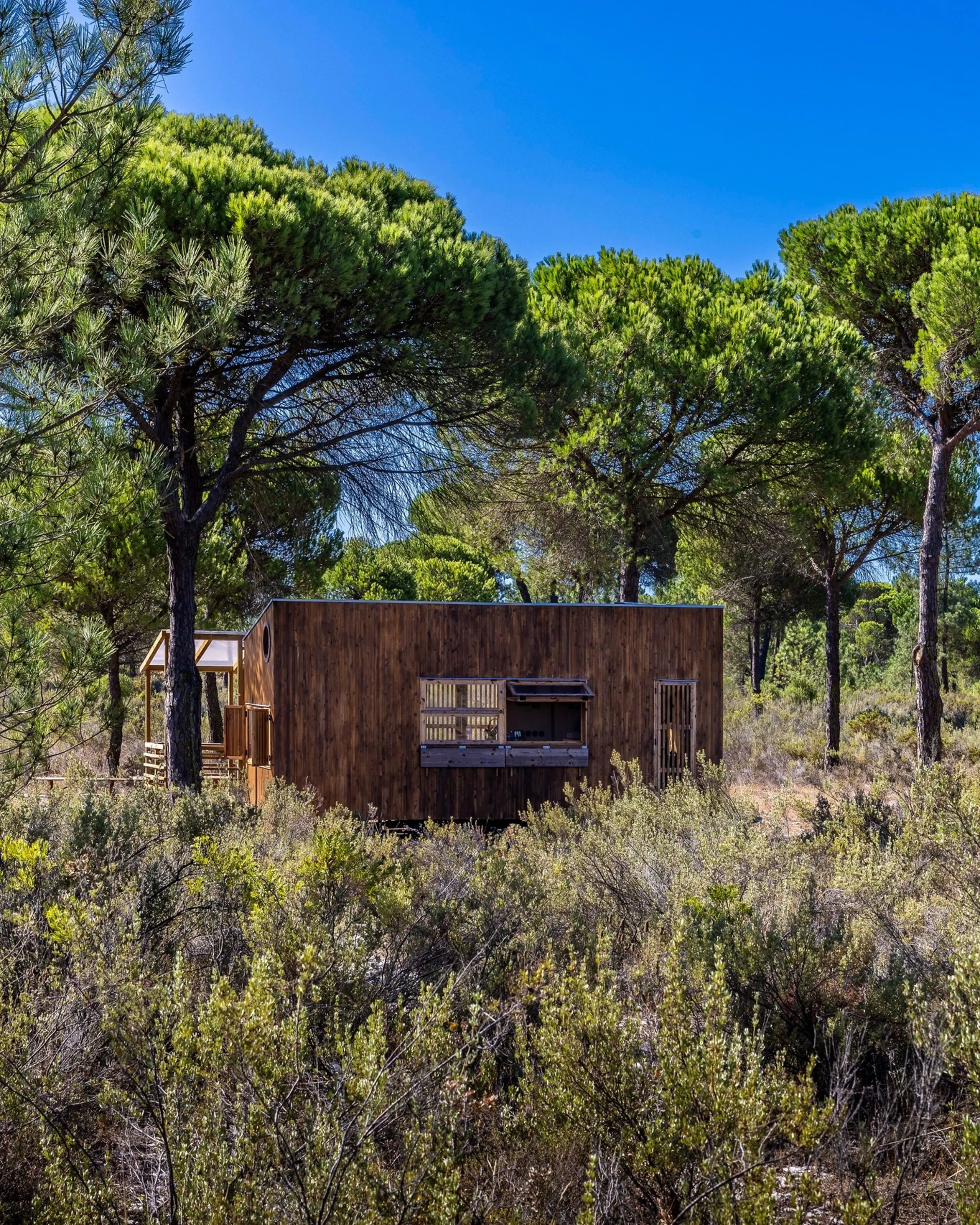 tiny house Madeiguincho tiny house Madeiguincho