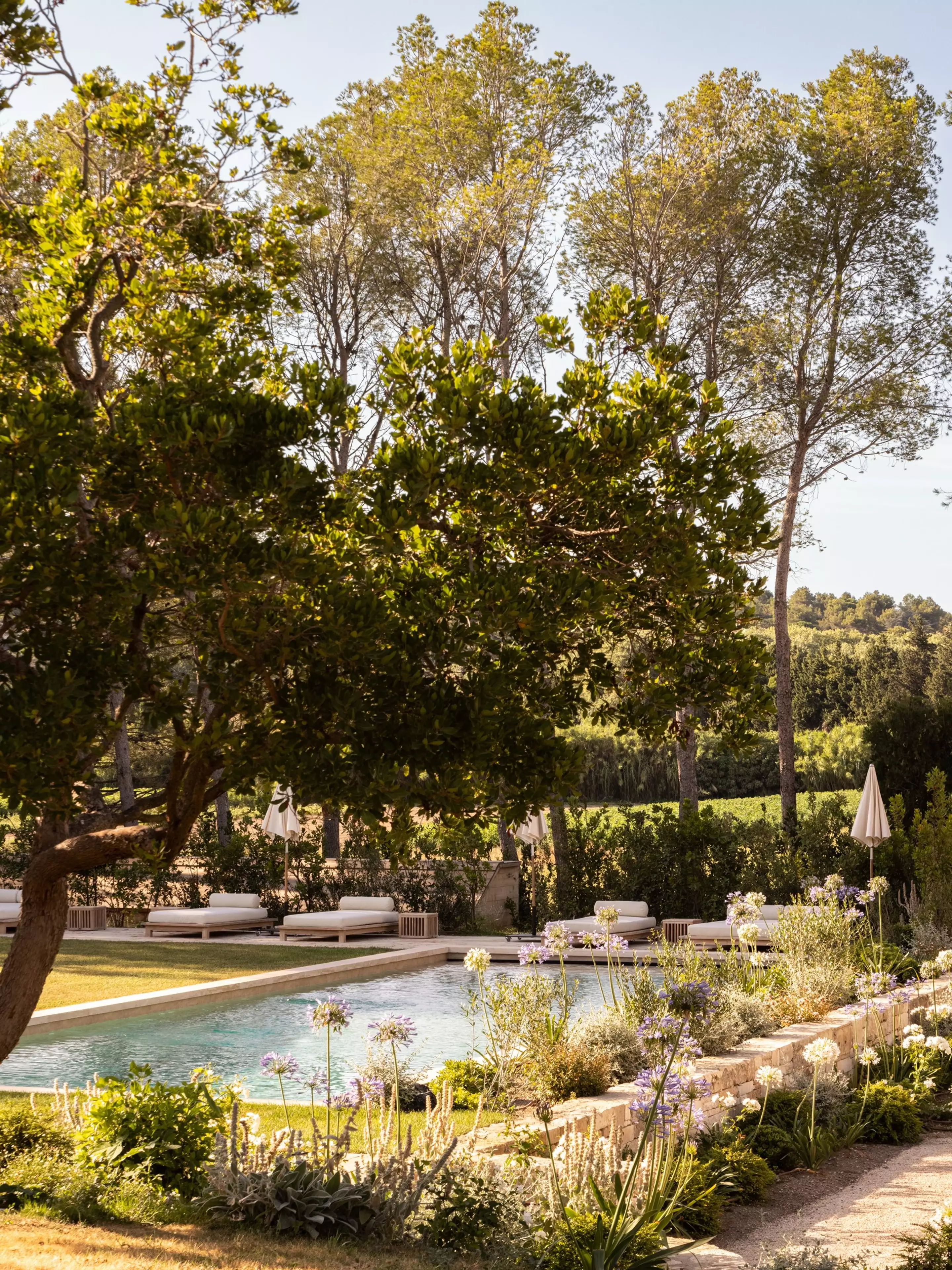 piscine dans jardin méditerranéen