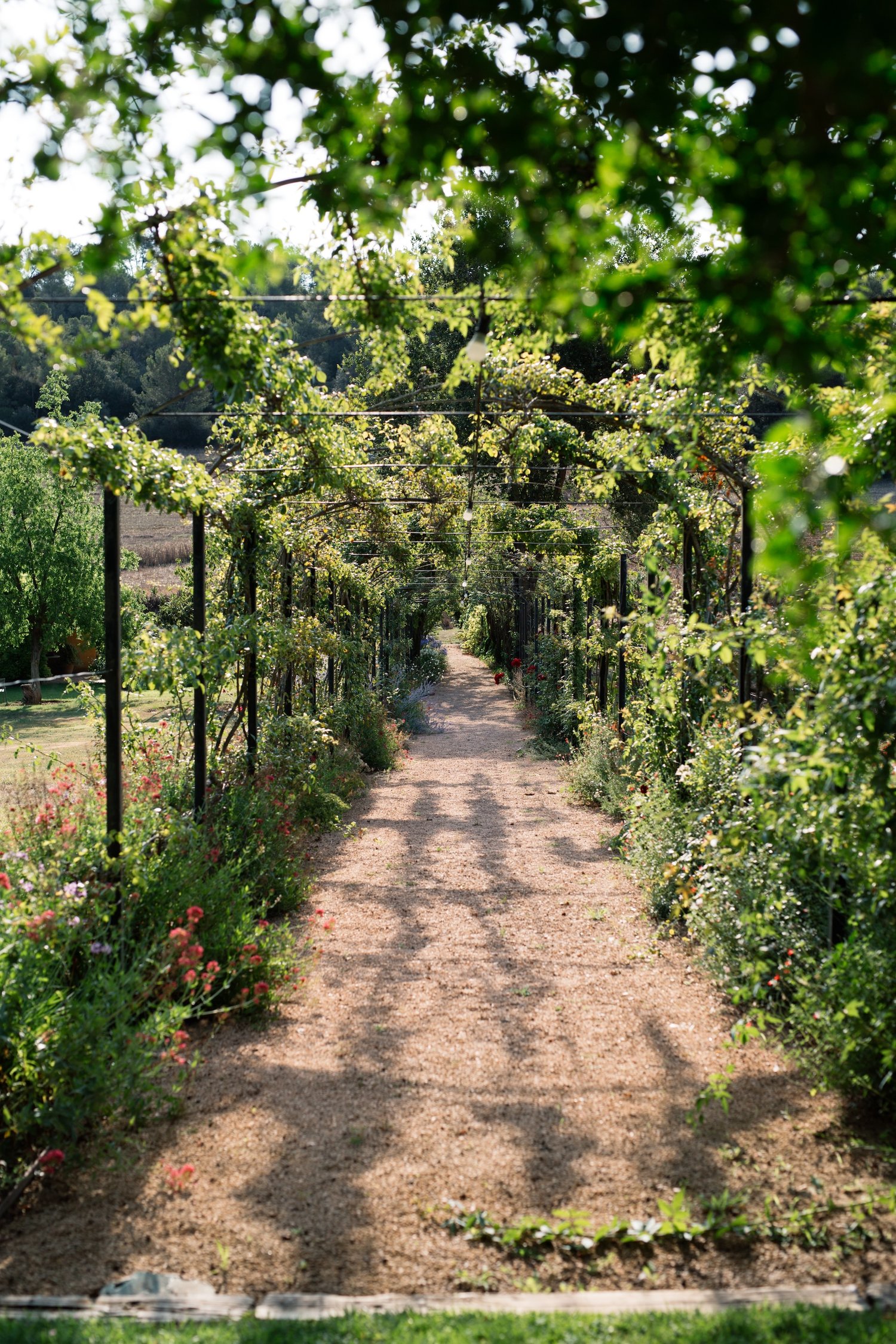 allée avec pergola Mas Flor