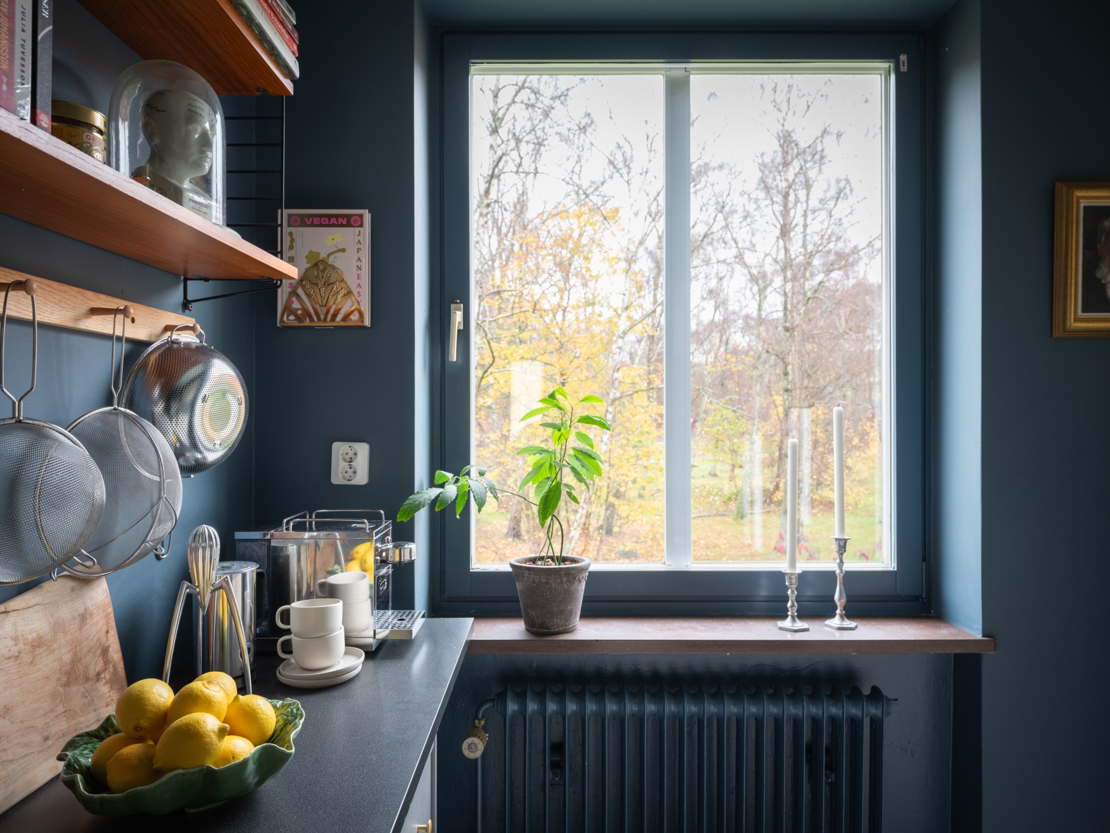 cuisine bleue décoration scandinave deux-pièces 39m2 cuisine bleue décoration scandinave deux-pièces 39m2