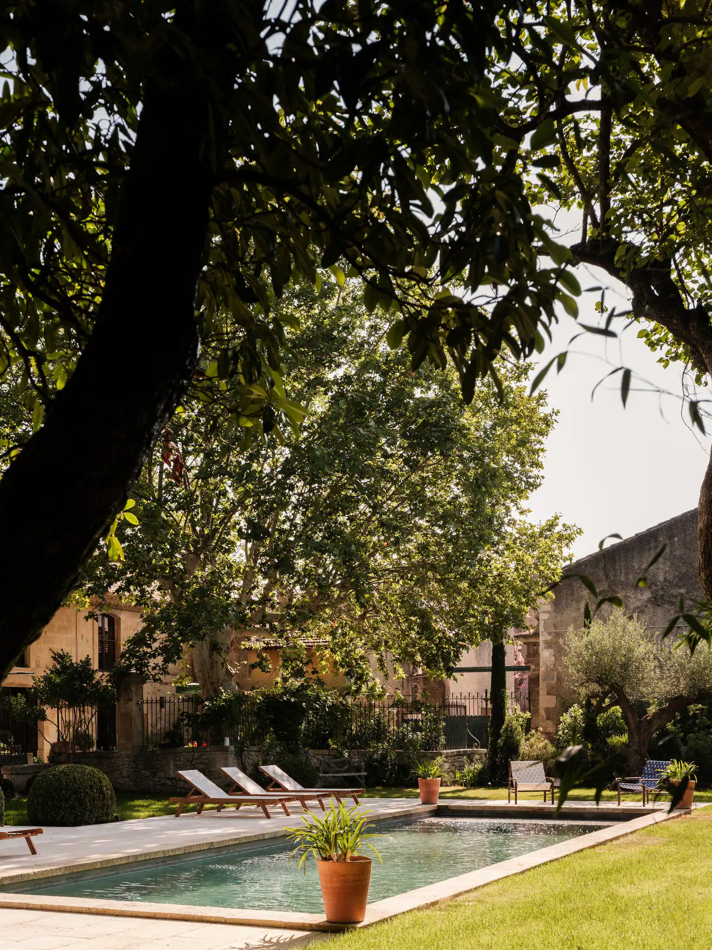 jardin avec piscine la Bastide des Chardons