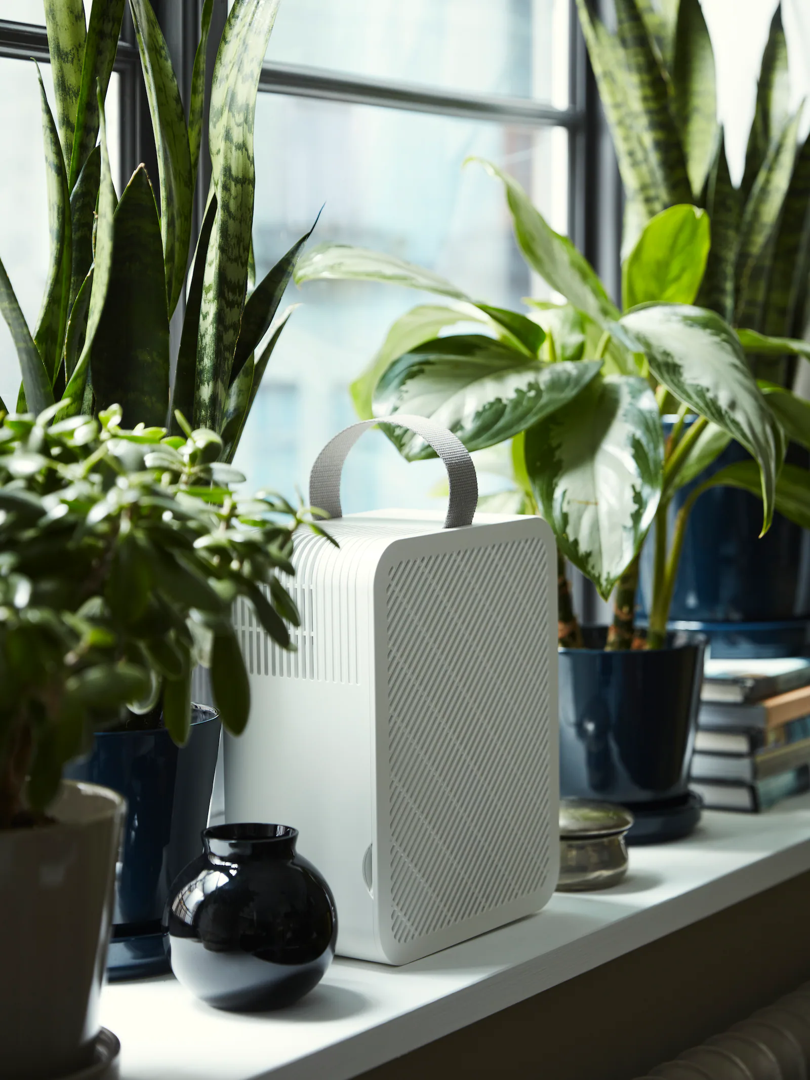purificateur d'air