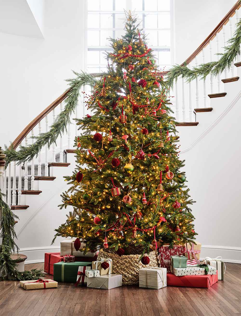 sapin dans entrée et escalier avec guirlandes sapin sapin dans entrée et escalier avec guirlandes sapin
