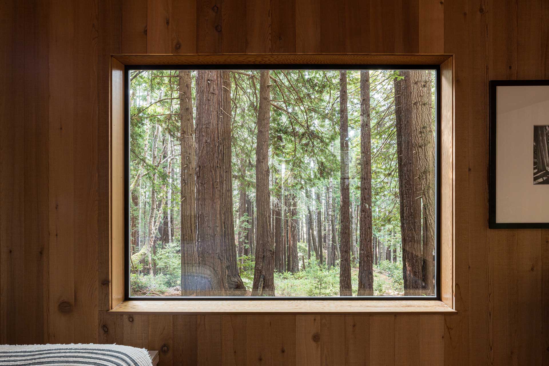 chambre vue forêt cabane Sea Ranch Californie chambre vue forêt cabane Sea Ranch Californie