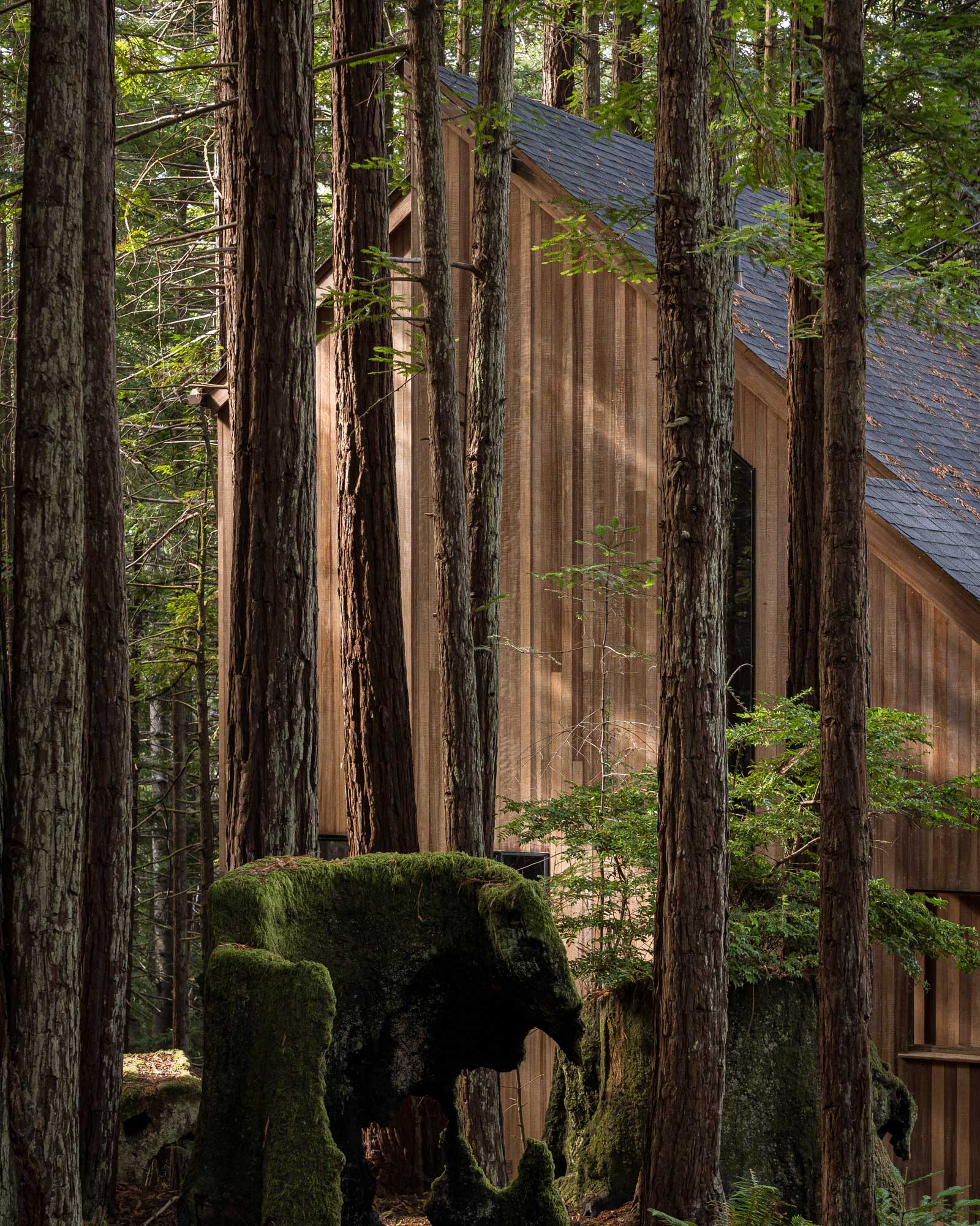maison en bois Sea Ranch Californie maison en bois Sea Ranch Californie