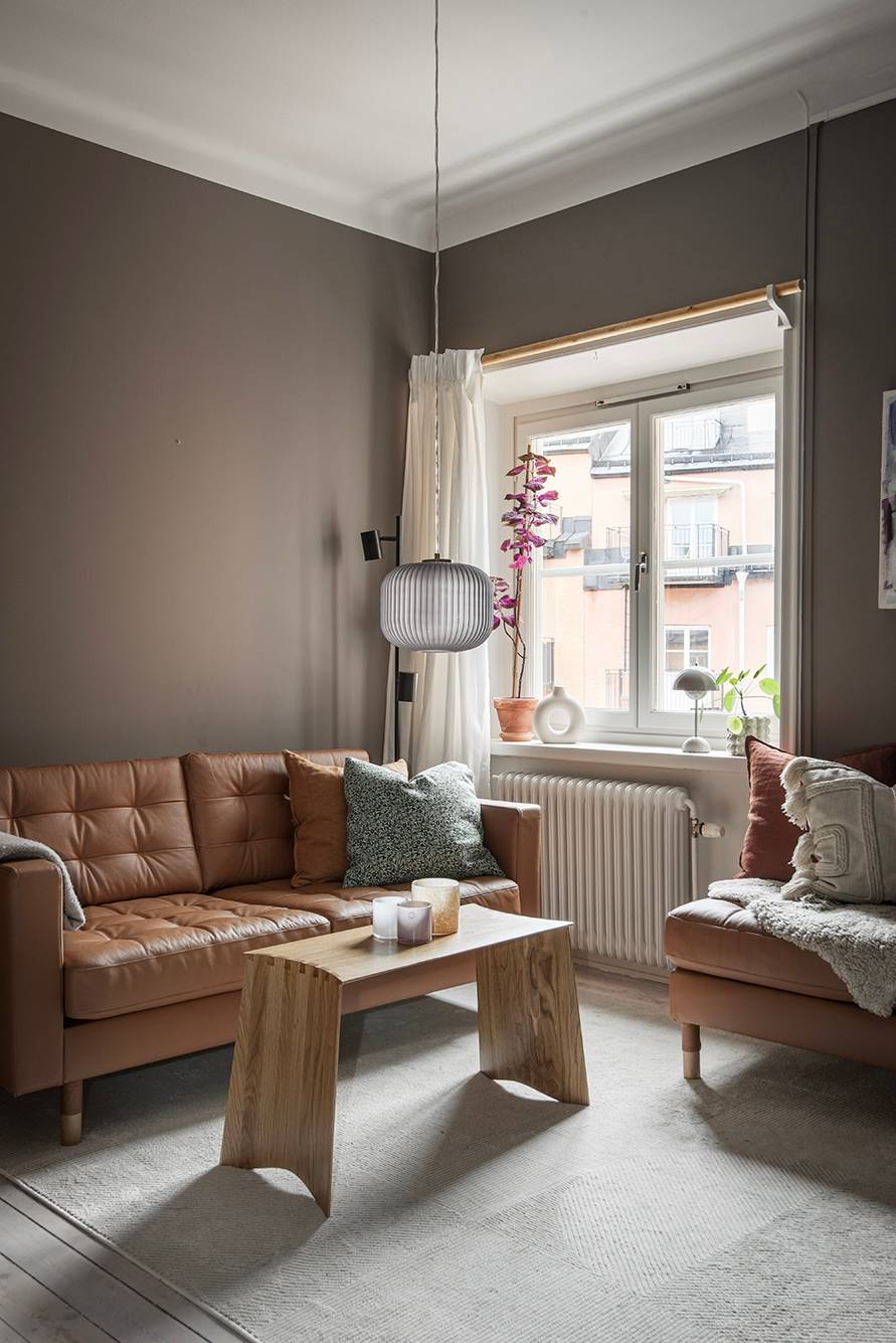 salon studio de 27m2 aux murs couleur Mocha Mousse