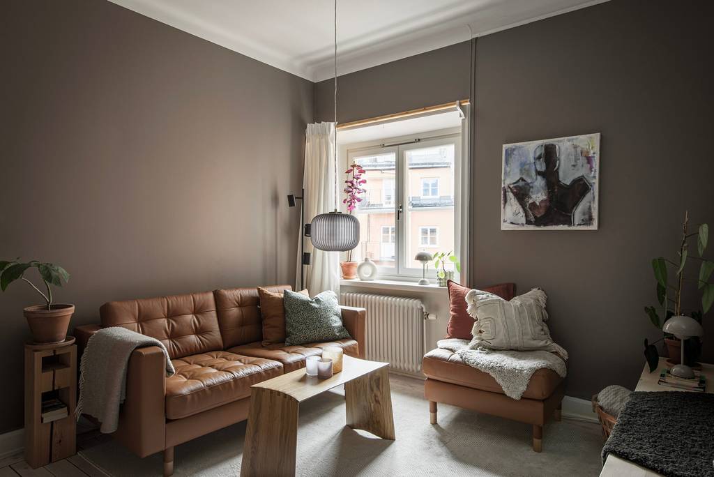 salon studio de 27m2 aux murs couleur Mocha Mousse