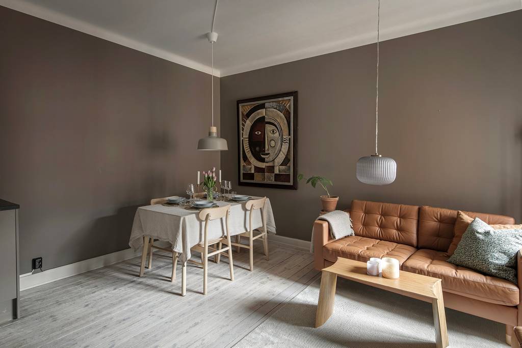 salon studio de 27m2 aux murs couleur Mocha Mousse