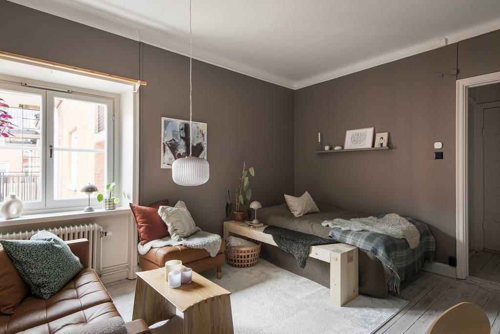 salon studio de 27m2 aux murs couleur Mocha Mousse