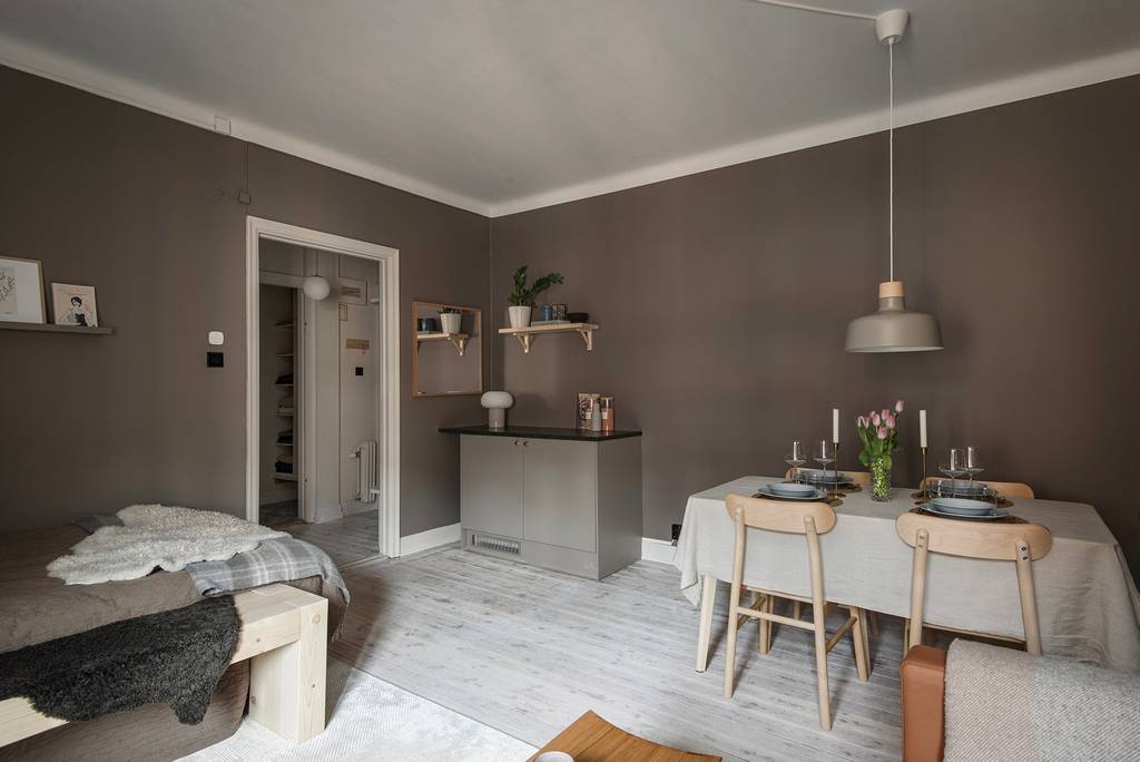 salon studio de 27m2 aux murs couleur Mocha Mousse
